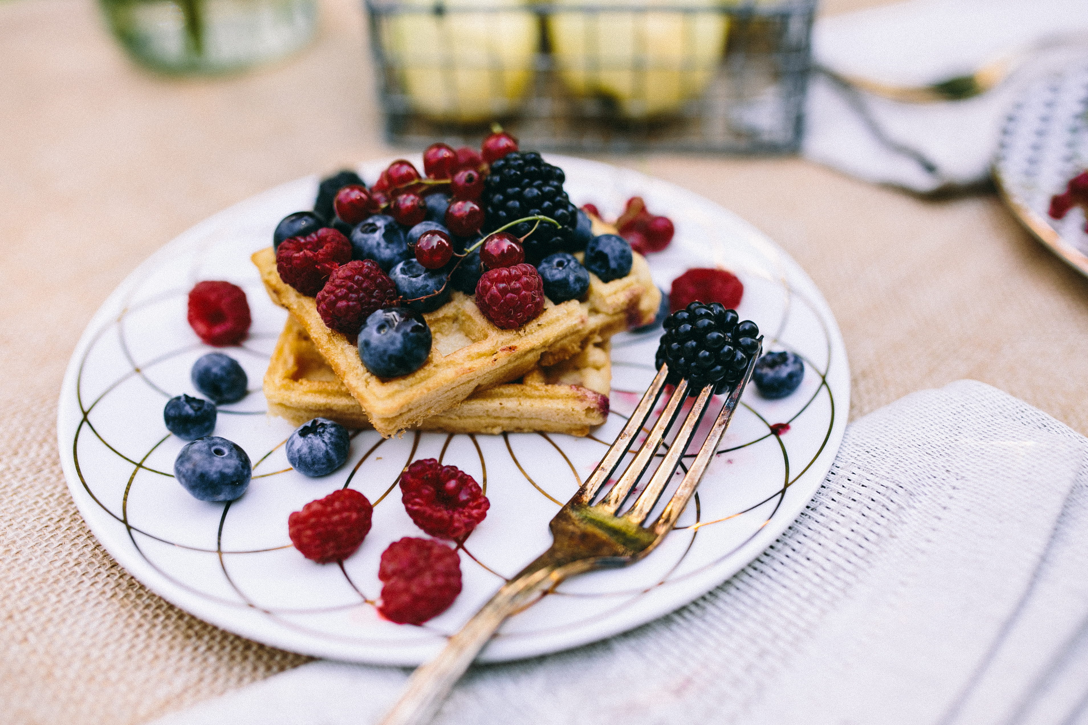 waffles, garden, nature, berry Fruit, blackberry, wellbeing, relax, close-up, in the garden, picnic table, health, summer, flowers, healthy Eating, cake, HD Wallpaper