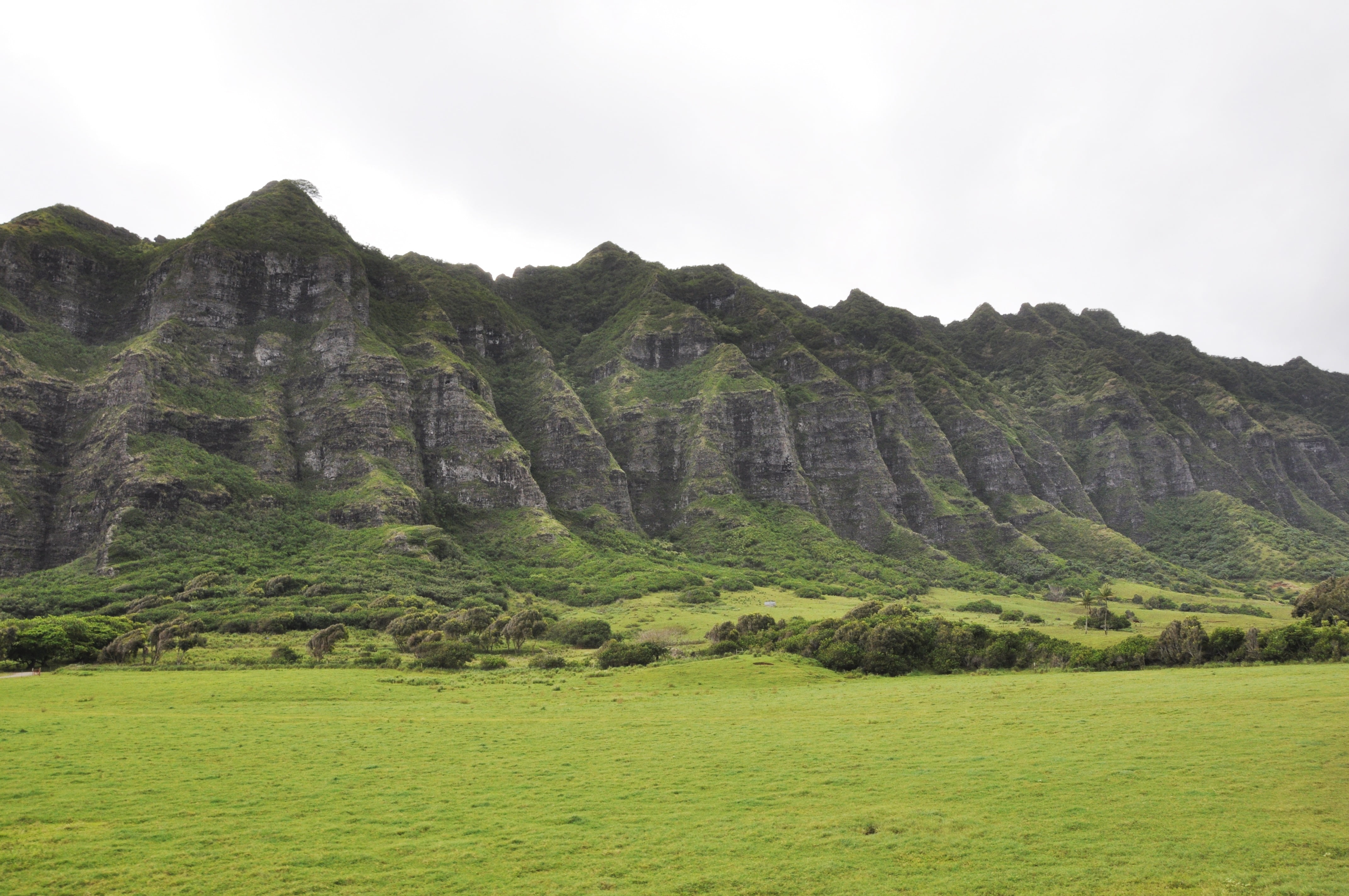 hawaii, travel destinations, tranquil scene, plant, nature, formation, idyllic, no people, grass, outdoors, landscape, tree, tranquility, green color, sky, HD Wallpaper