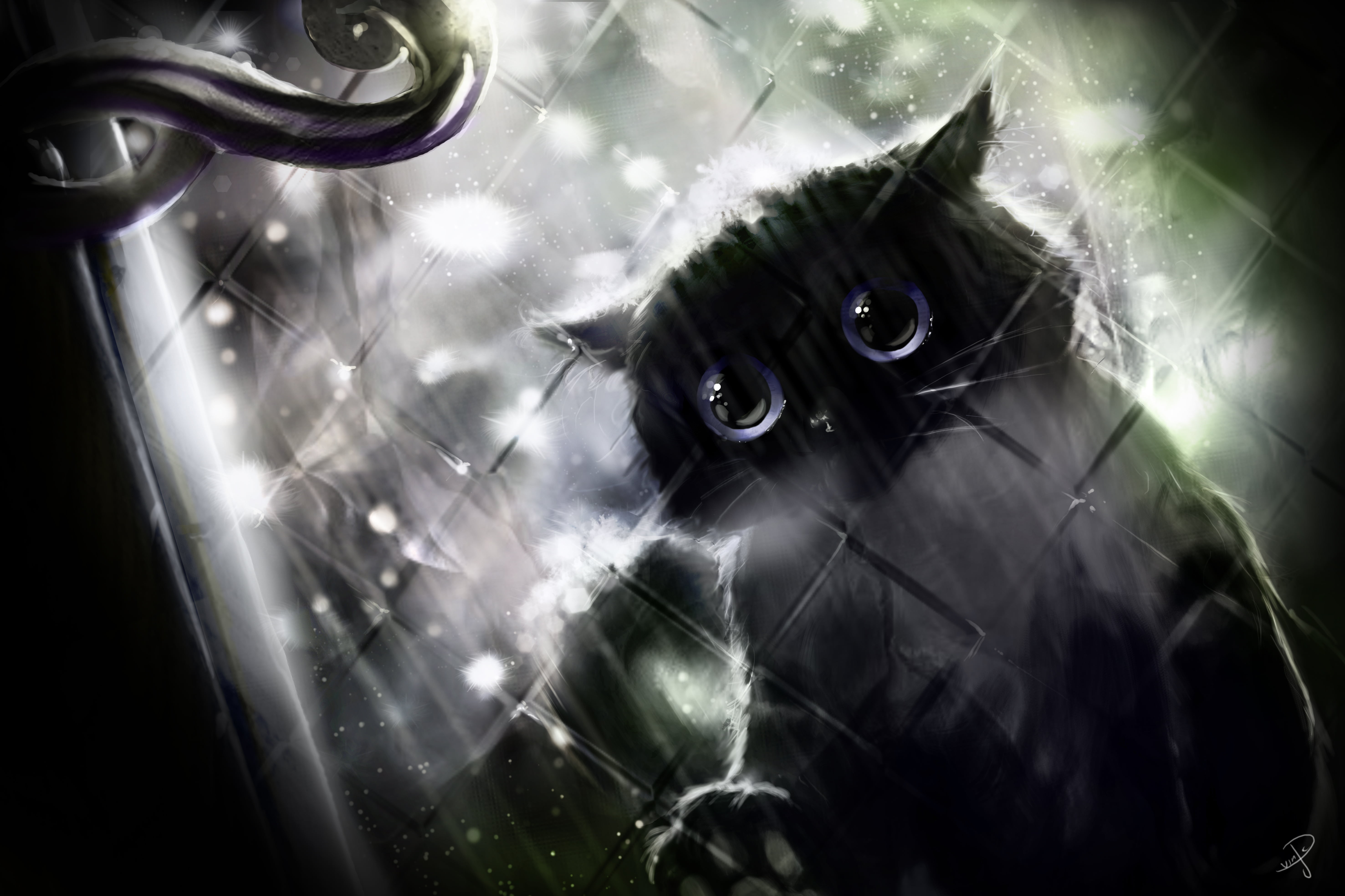 looking, spooky, animals And Pets, black cat, mammal, fear, behind, close-up, fragility, animal, fur, one animal, shape, indoors, evil, animal themes, domestic, HD Wallpaper