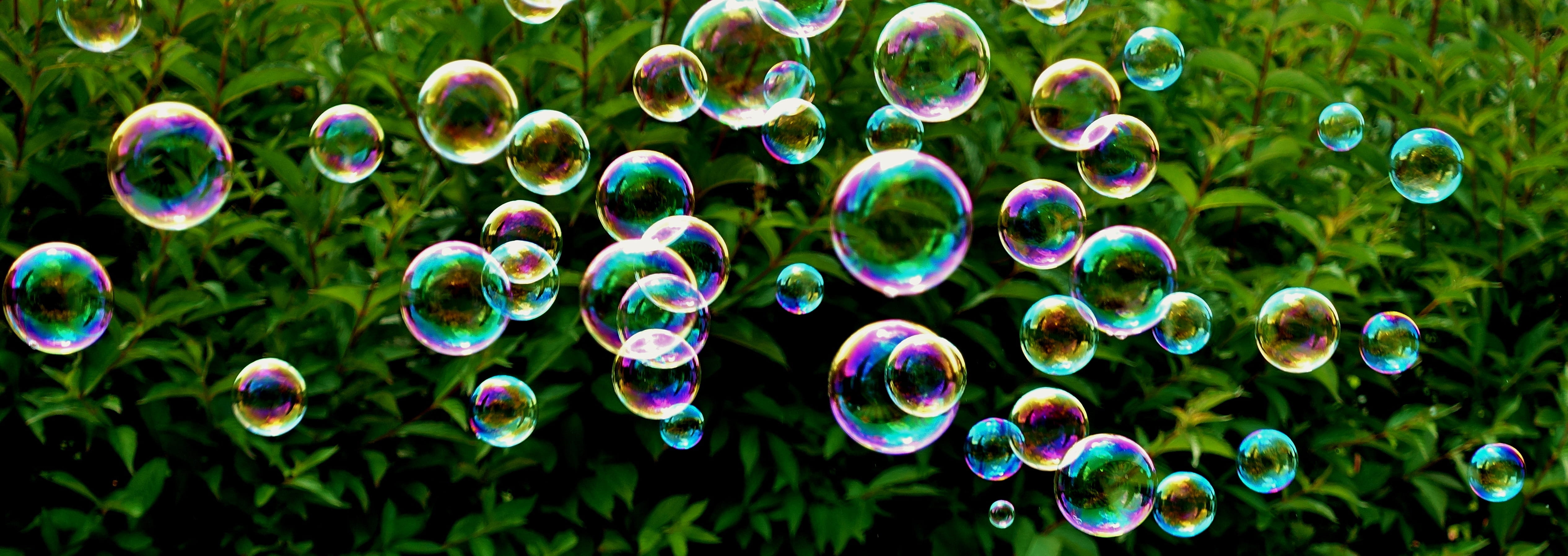 outdoors, lightweight, green color, design, soapy water, fragility, multi colored, reflection, transparent, soap bubbles, purple, abstract, flying, plant, HD Wallpaper