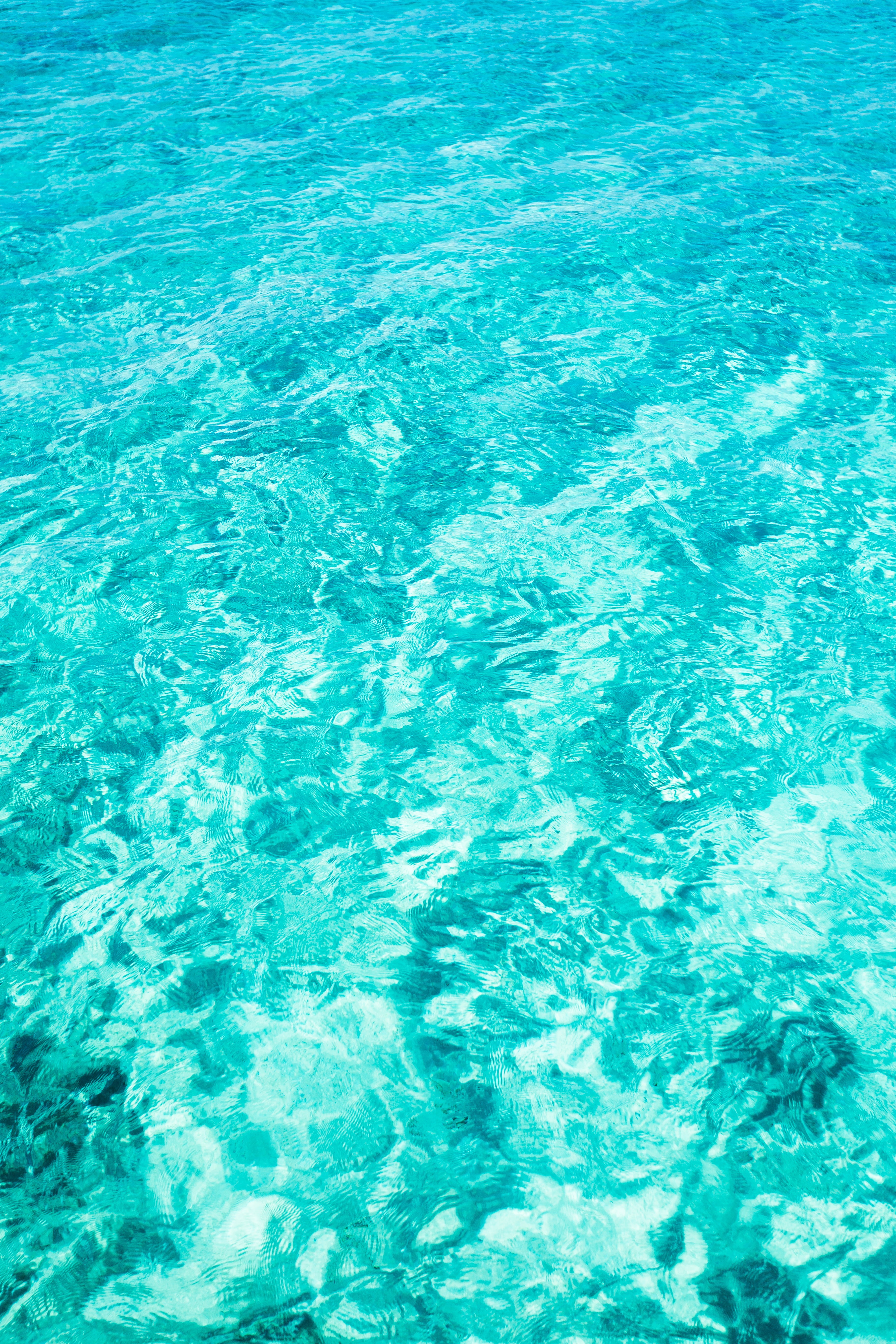 high angle view, water, beauty in nature, shining, outdoors, clear, backgrounds, body, light, pattern, abstract, full frame, waterfront, day, clean, bright, Phone HD Wallpaper