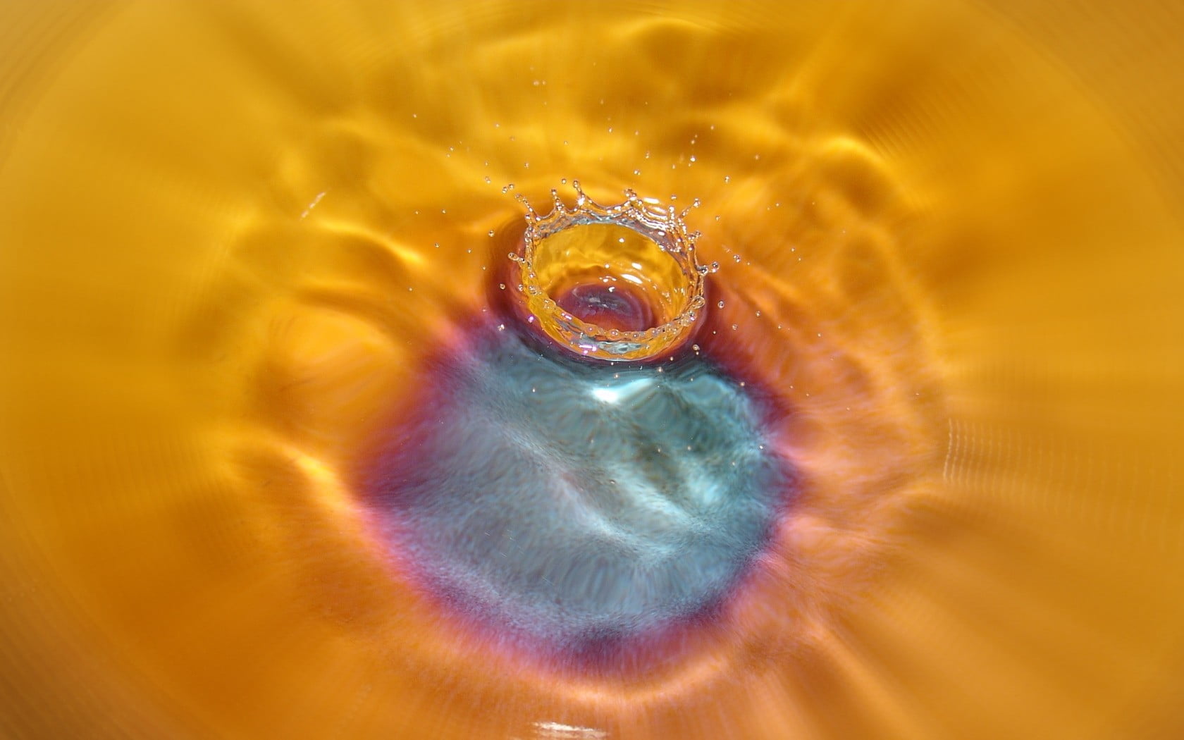 refraction, 720P, iris - eye, magnification, eyeball, full frame, eye, abstract backgrounds, yellow, indoors, close-up, concentric, healthcare and medicine, HD Wallpaper