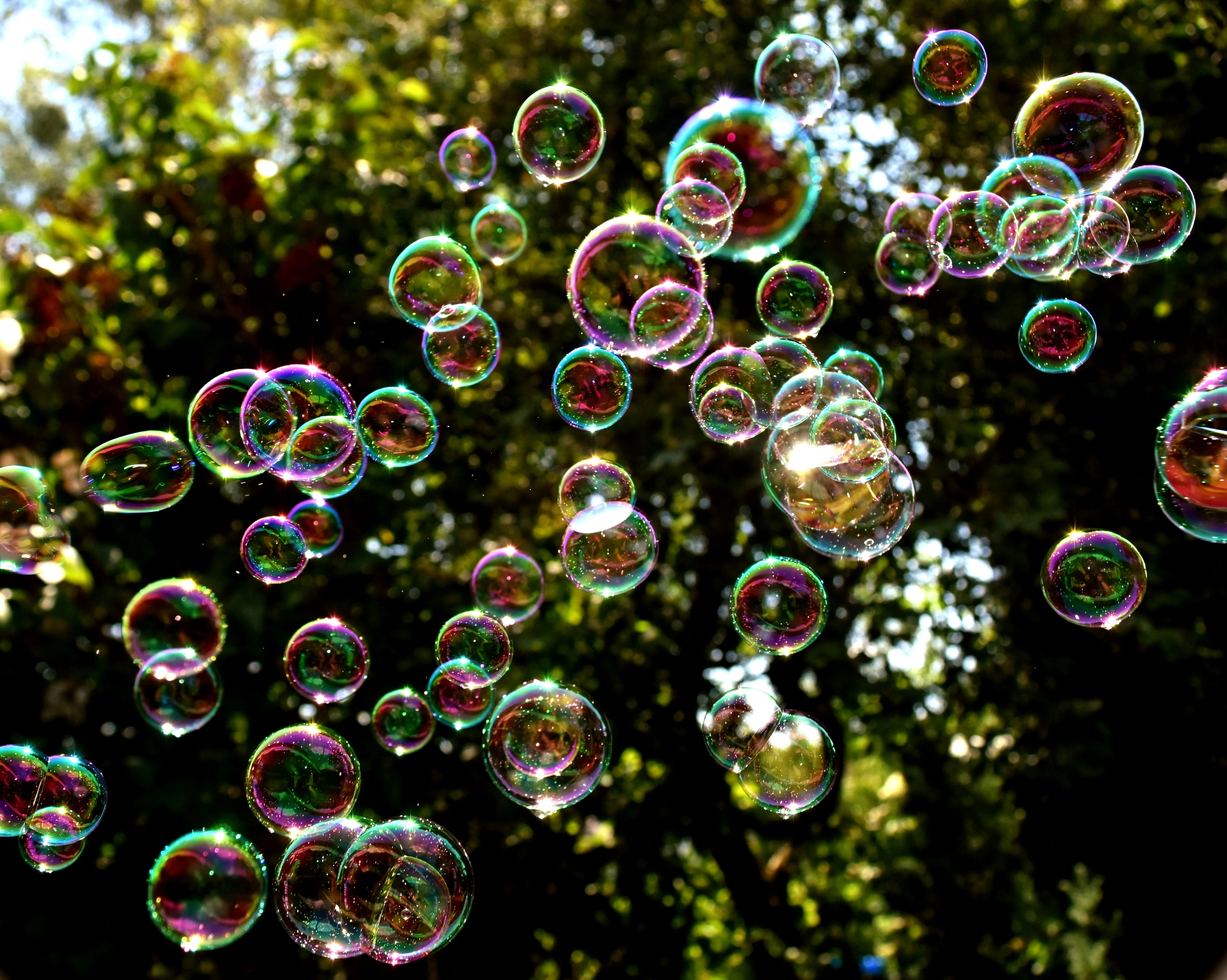 day, sphere, Soap Bubbles, focus, close-up, outdoors, large group of objects, Colorful, multi colored, outdoor, plant, beauty in nature, selective, fragility, HD Wallpaper