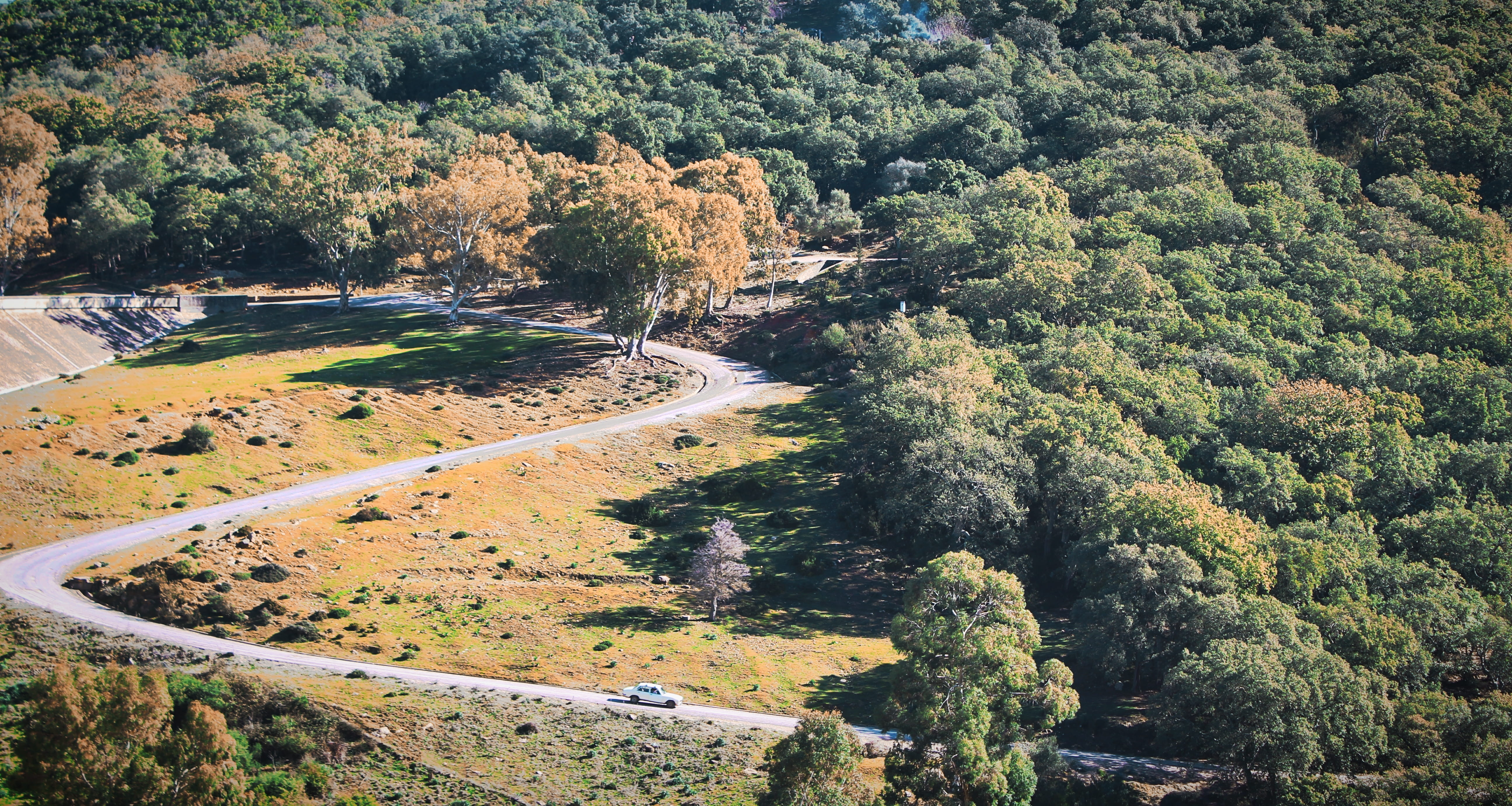 transportation, nature, environment, landscape, beni m tir, car, high angle view, non-urban scene, tunisia, forest, tree, growth, winter, scenics - nature, HD Wallpaper