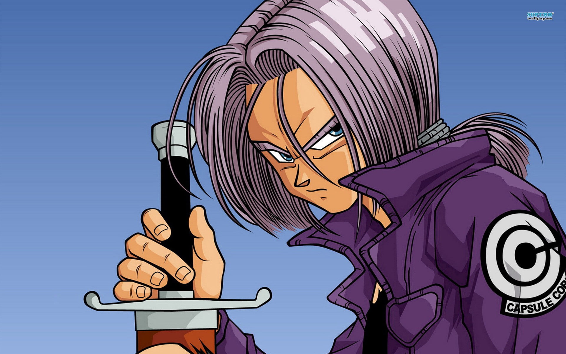 pink color, trunks, anime, no people, blue, purple, 1080P, sky, representation, Dragon Ball Z, human representation, clear sky, low angle view, outdoors, HD Wallpaper