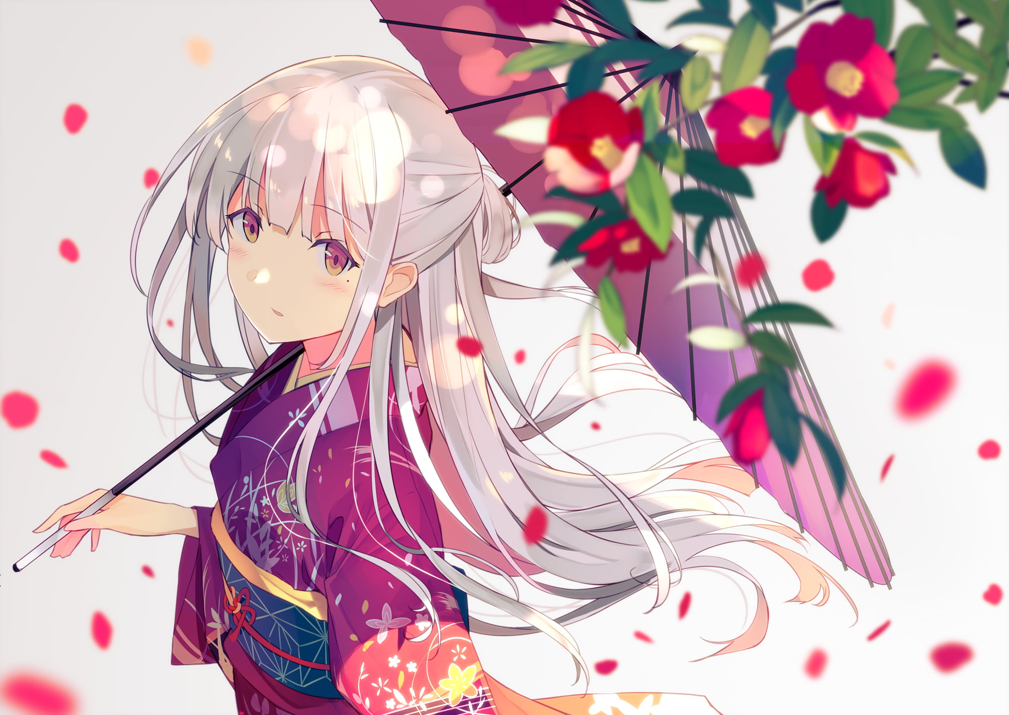 original characters, 1080P, women, Ashima, umbrella, kimono, digital art, anime, petals, flowers, white hair, artwork, white background, anime girls, drawing, HD Wallpaper