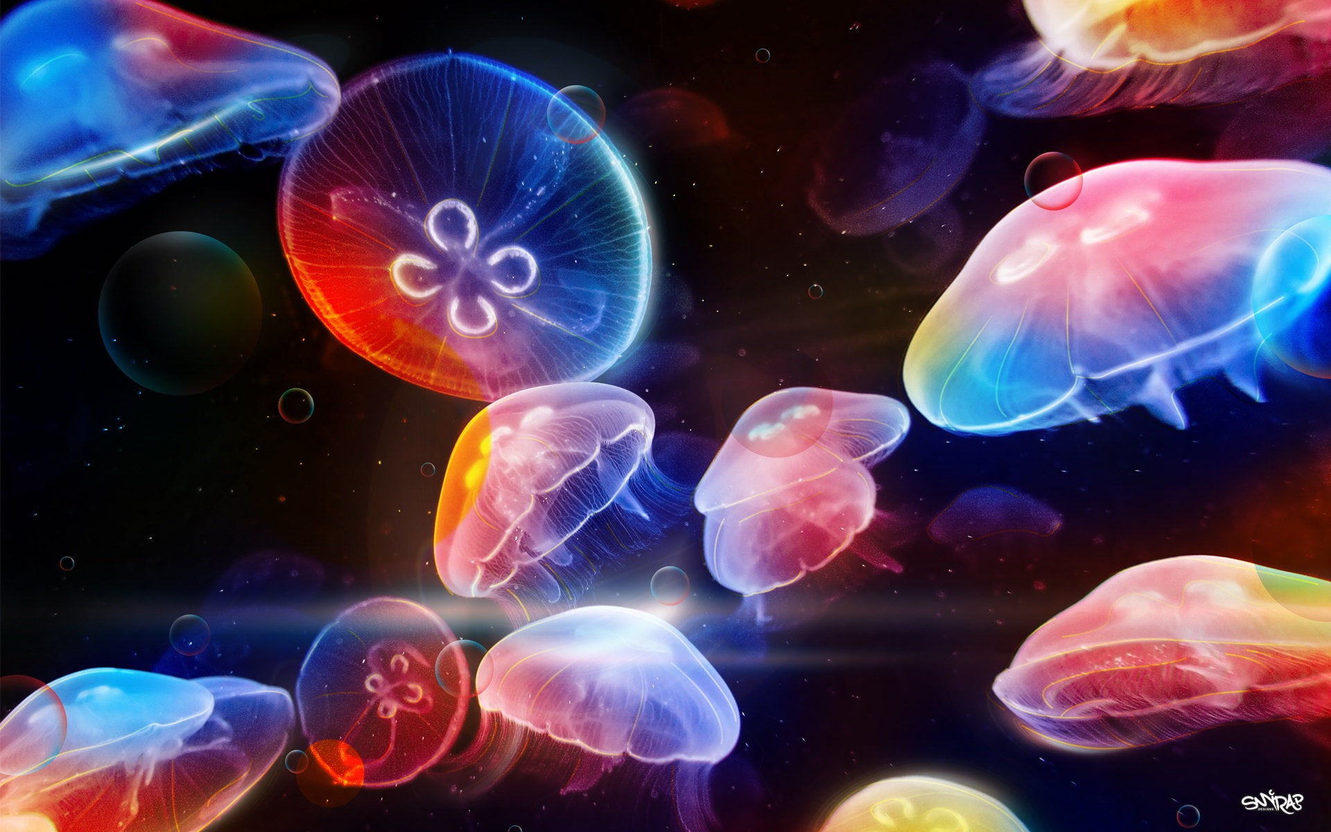Colorful, charming, color, Jellyfish, 1080P, HD Wallpaper