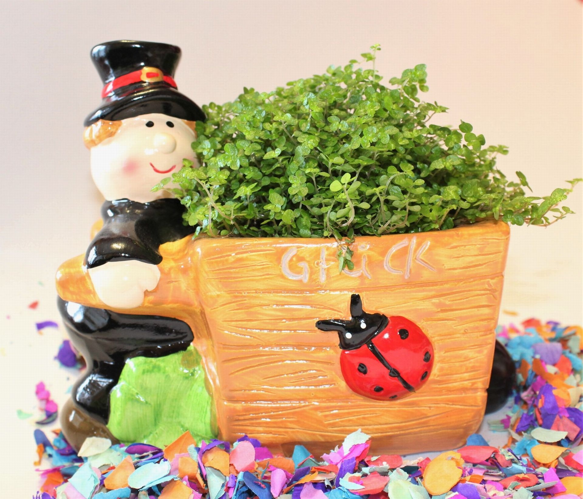 ladybug, lucky charm, potted plant, 1080P, no people, creativity, still life, indoors, female likeness, lucky clover, craft, statue, toy, luck, lucky ladybug, HD Wallpaper