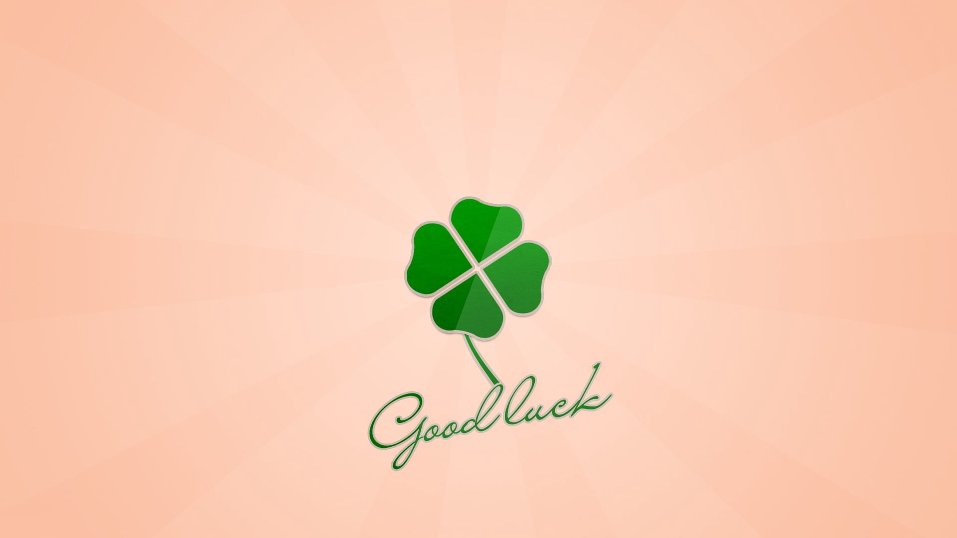 label, decoration, copy space, symbol, irish Culture, four leaf clover, shape, close-up, message, nature, plant, emotion, backgrounds, 4 leaf clover, holiday, HD Wallpaper