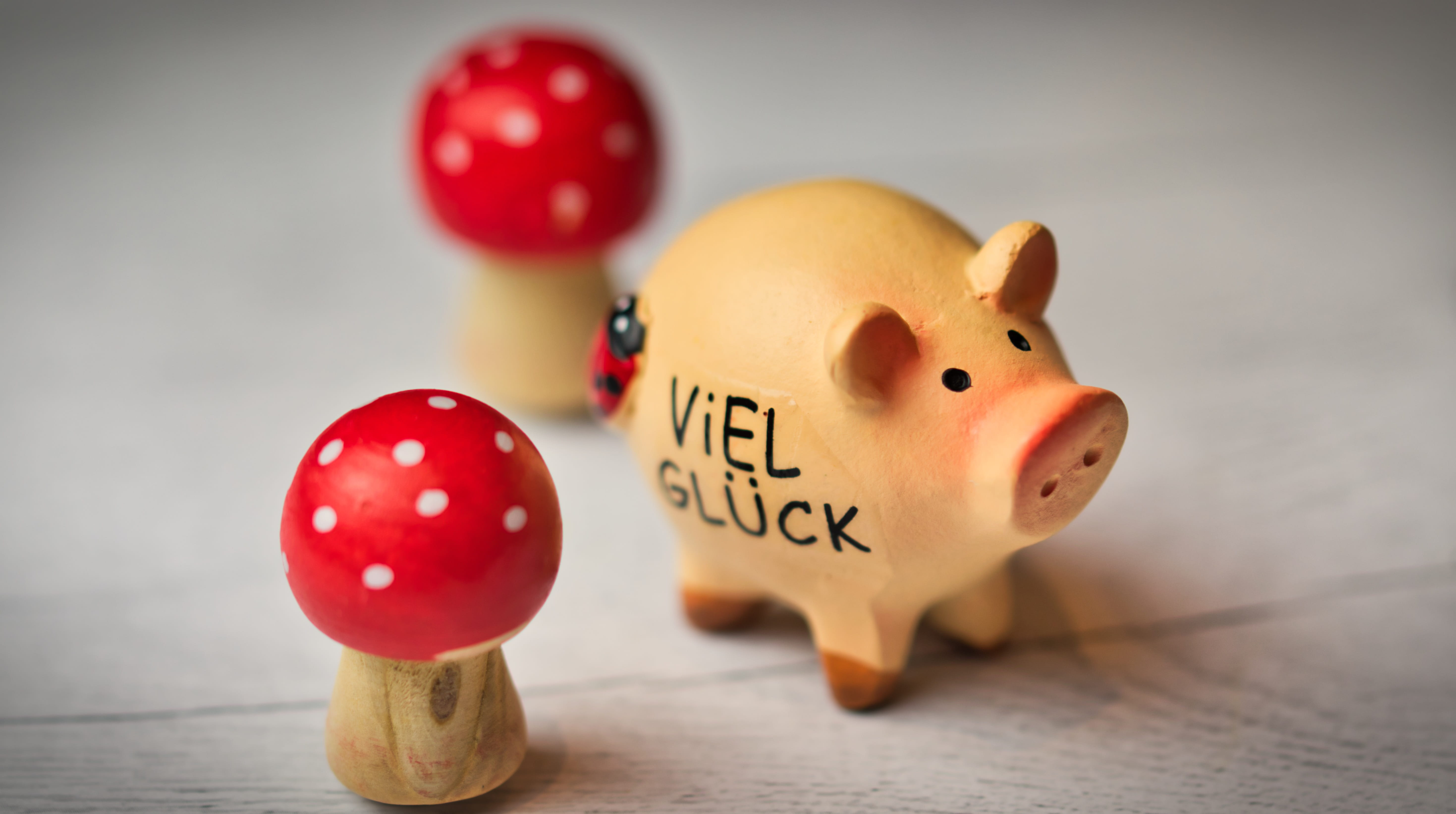 lucky charm, wood - material, indoors, table, toy, holiday, celebration, wishes, new years eve, piglet, lucky guy, birthday, new years greetings, cute, HD Wallpaper