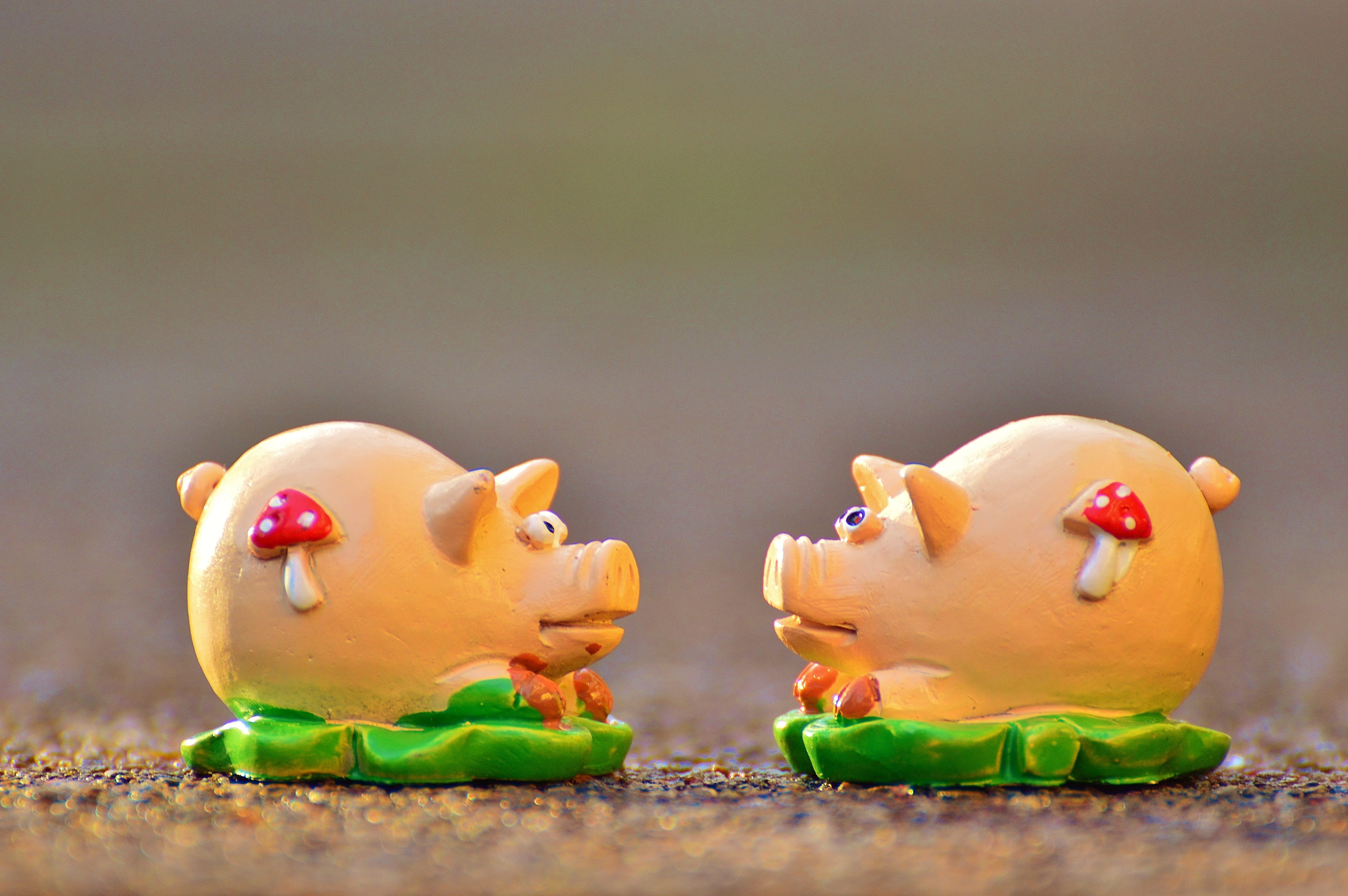 Luck, fun, Piglet, still life, sow, Pig, representation, no people, sweet, copy space, two objects, colored background, funny, day, celebration, animals, HD Wallpaper