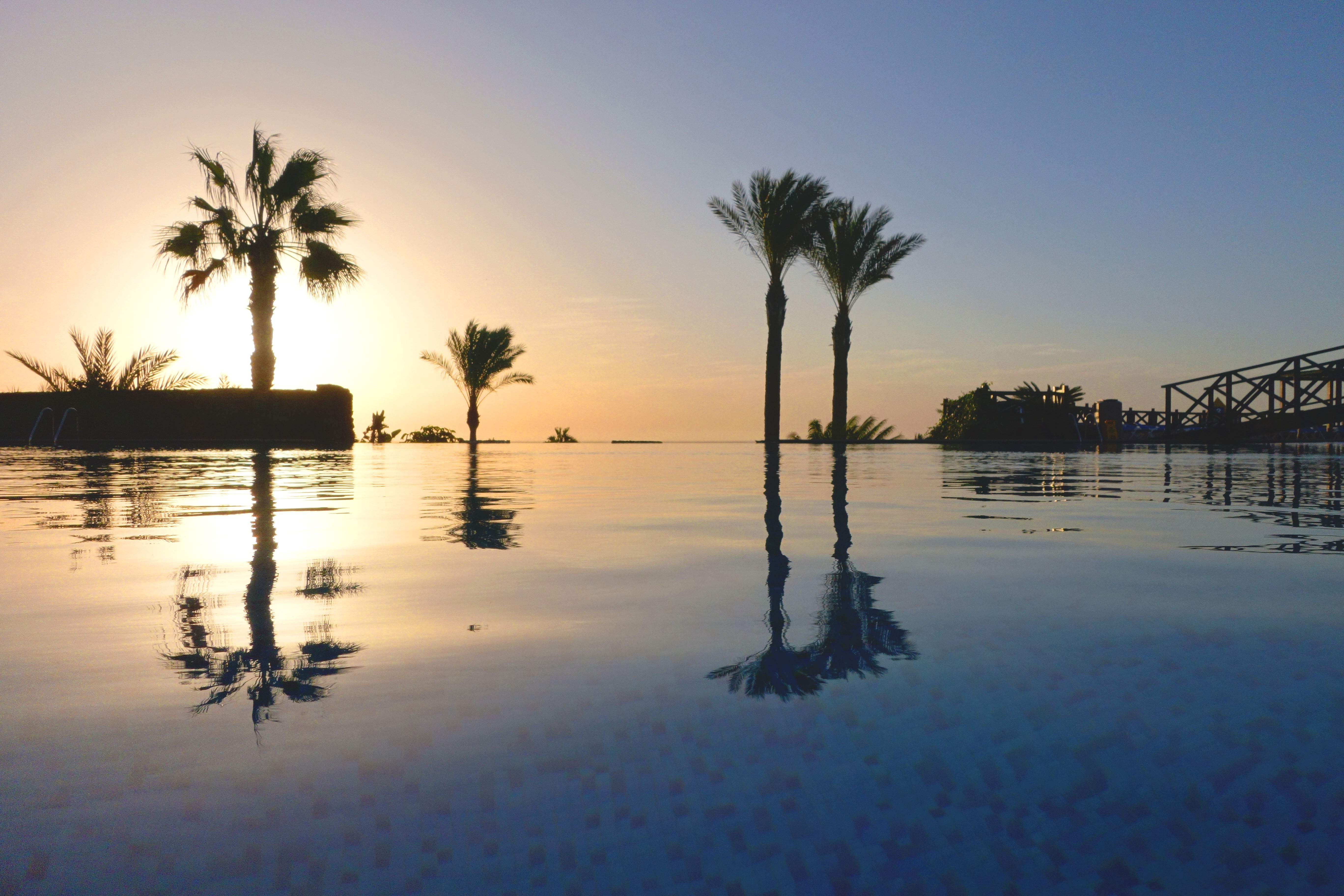 summer, tranquility, reflection, coconut palm tree, chill out, waterfront, mood, nature, holidays, swimming pool, refresh, clouds, morgenstimmung, azur, HD Wallpaper