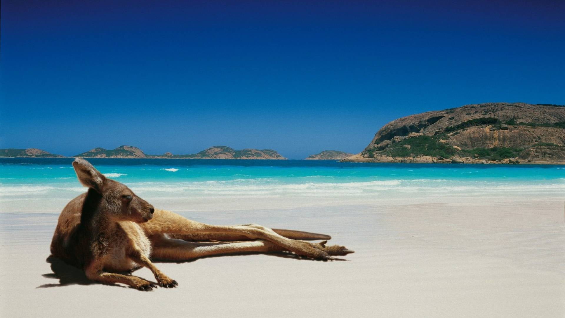 domestic, clear, 1080P, travel, clear sky, nature, seascape, mountain, landscape, mammal, idyllic, day, land, coastline, coast, summer, tranquil, water, HD Wallpaper
