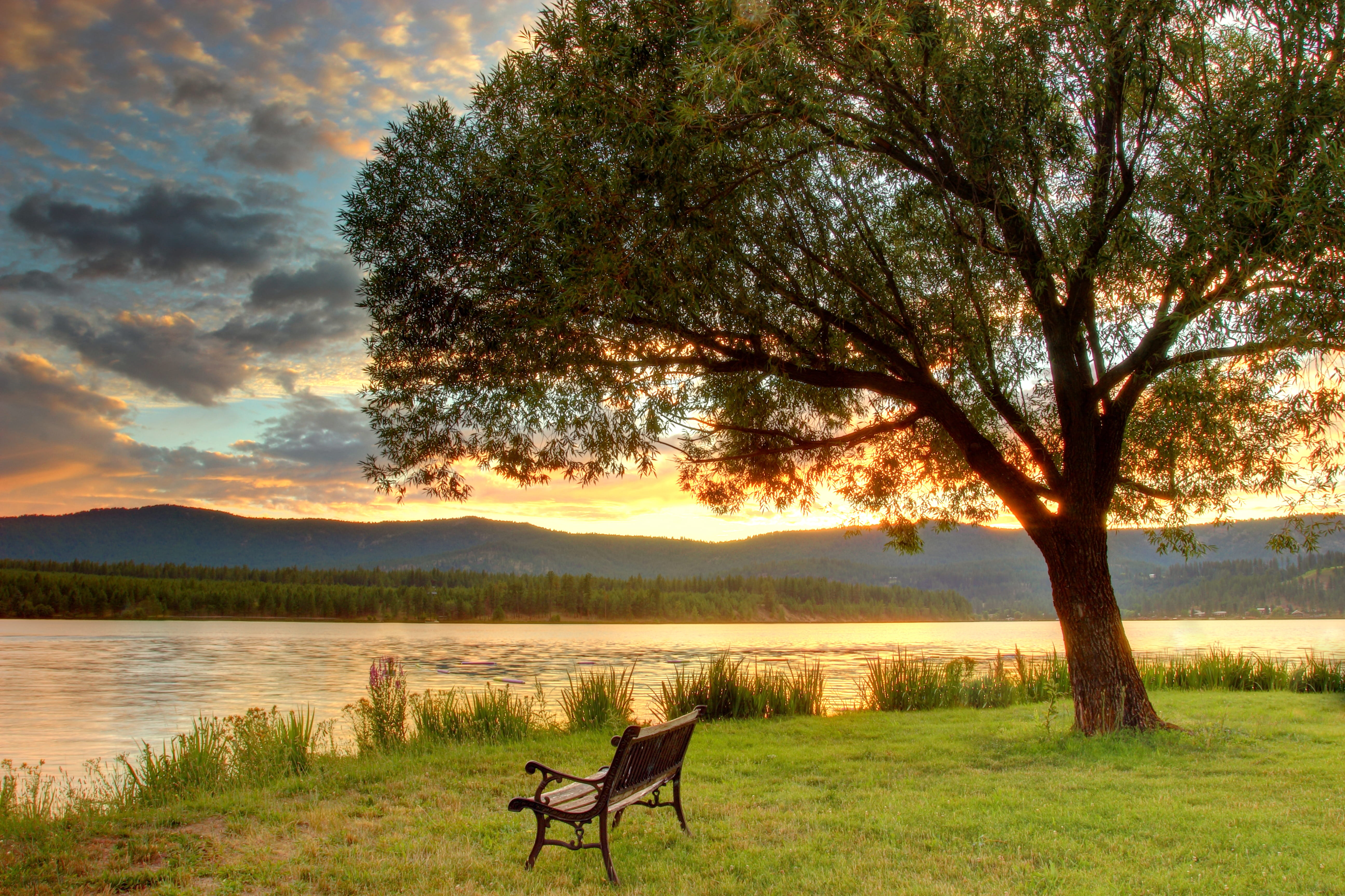 seat, non-urban scene, fishing, evening, nature, warm, sunset, outdoors, green color, chill, lake, nights, tranquil scene, bench, relaxing, tree, sky, water, HD Wallpaper