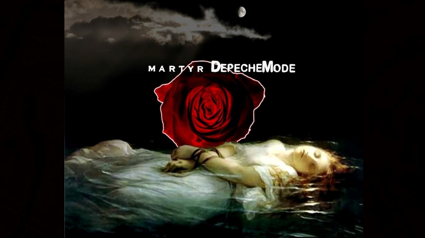 720P, beauty in nature, flowering plant, food and drink, message, depeche mode, still life, red, flower, close-up, rose, reflection, freshness, black background, HD Wallpaper
