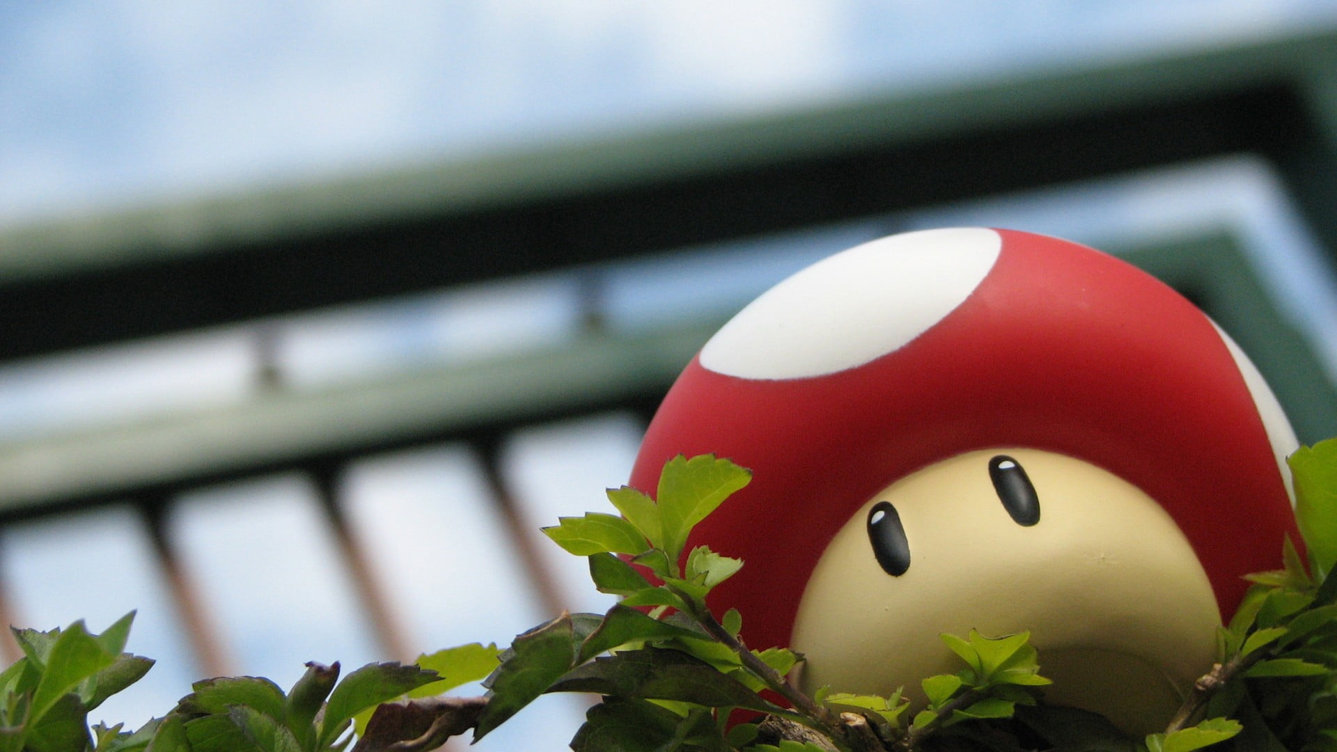 representation, leaf, architecture, festival, focus on foreground, nature, art and craft, close-up, growth, Super Mario, no people, plant part, red, creativity, HD Wallpaper