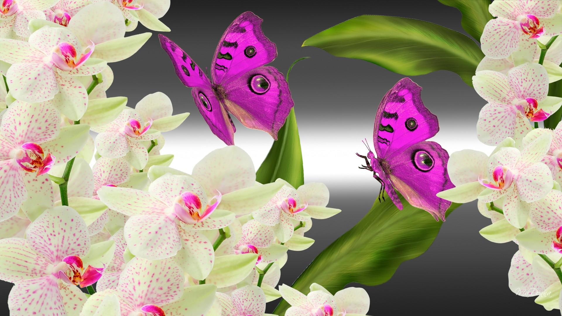 flowers, butterflies, flowerette, bright, dramatic, leaves, bouquet, papillon, oriental, orchids, 1080P, butterfly, corsage, HD Wallpaper
