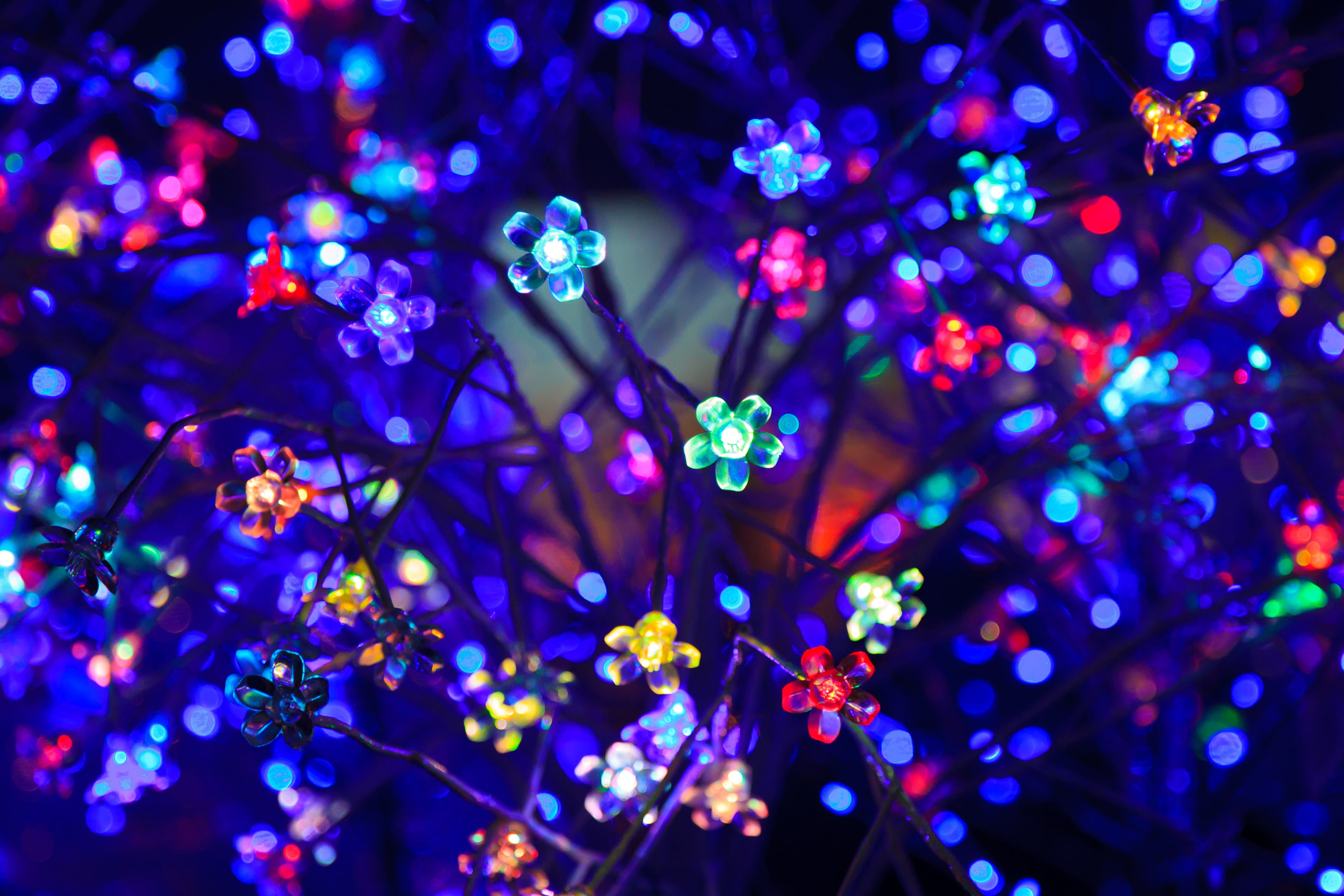 flowers, light, glare, lighting, 4K, bulbs, neon, bokeh, colorful, HD Wallpaper
