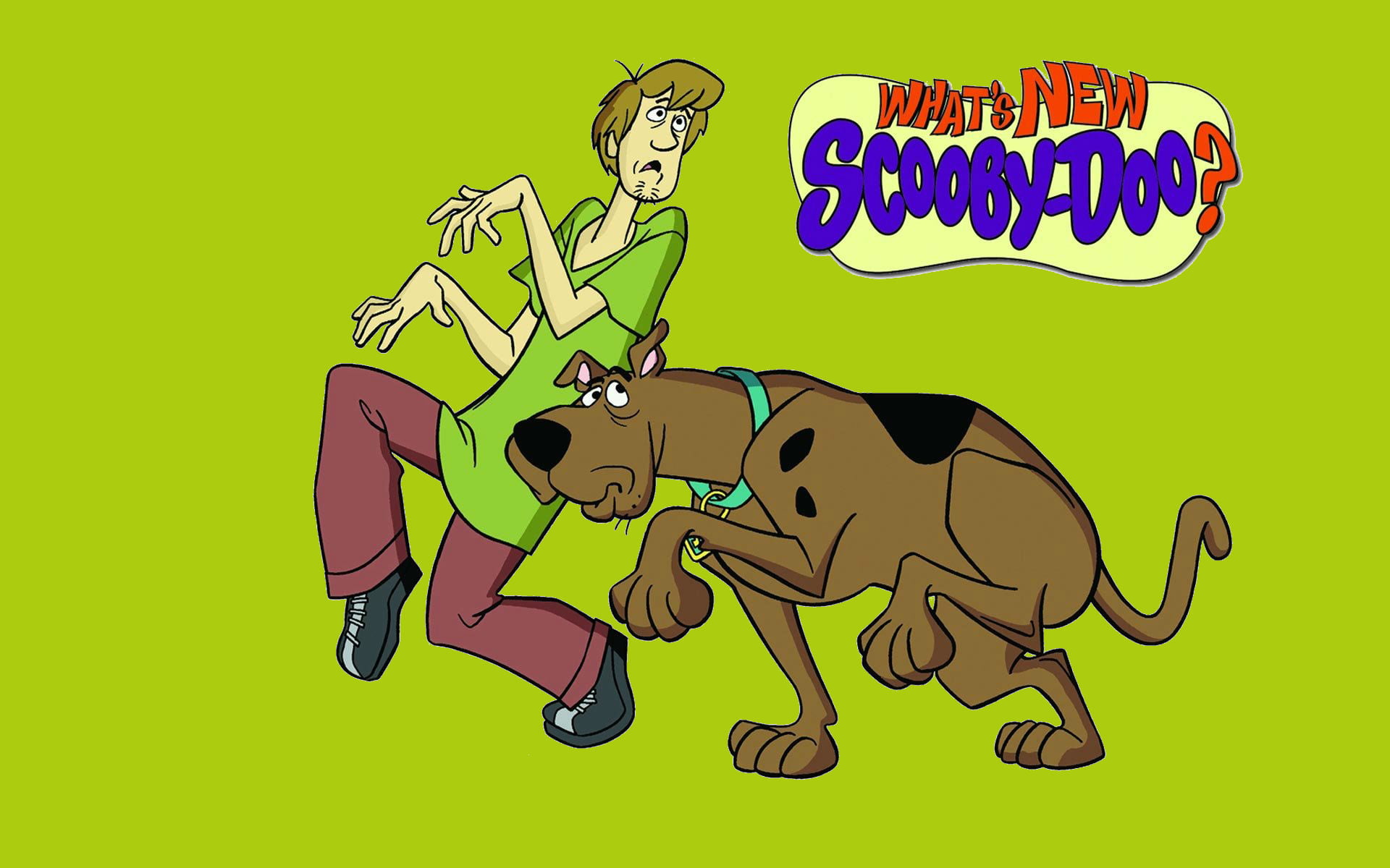 doo, Cartoons, snack, fun, communication, domestic, dog, livestock, vertebrate, food and drink, 1080P, sign, people, domestic animals, shaggy, HD Wallpaper