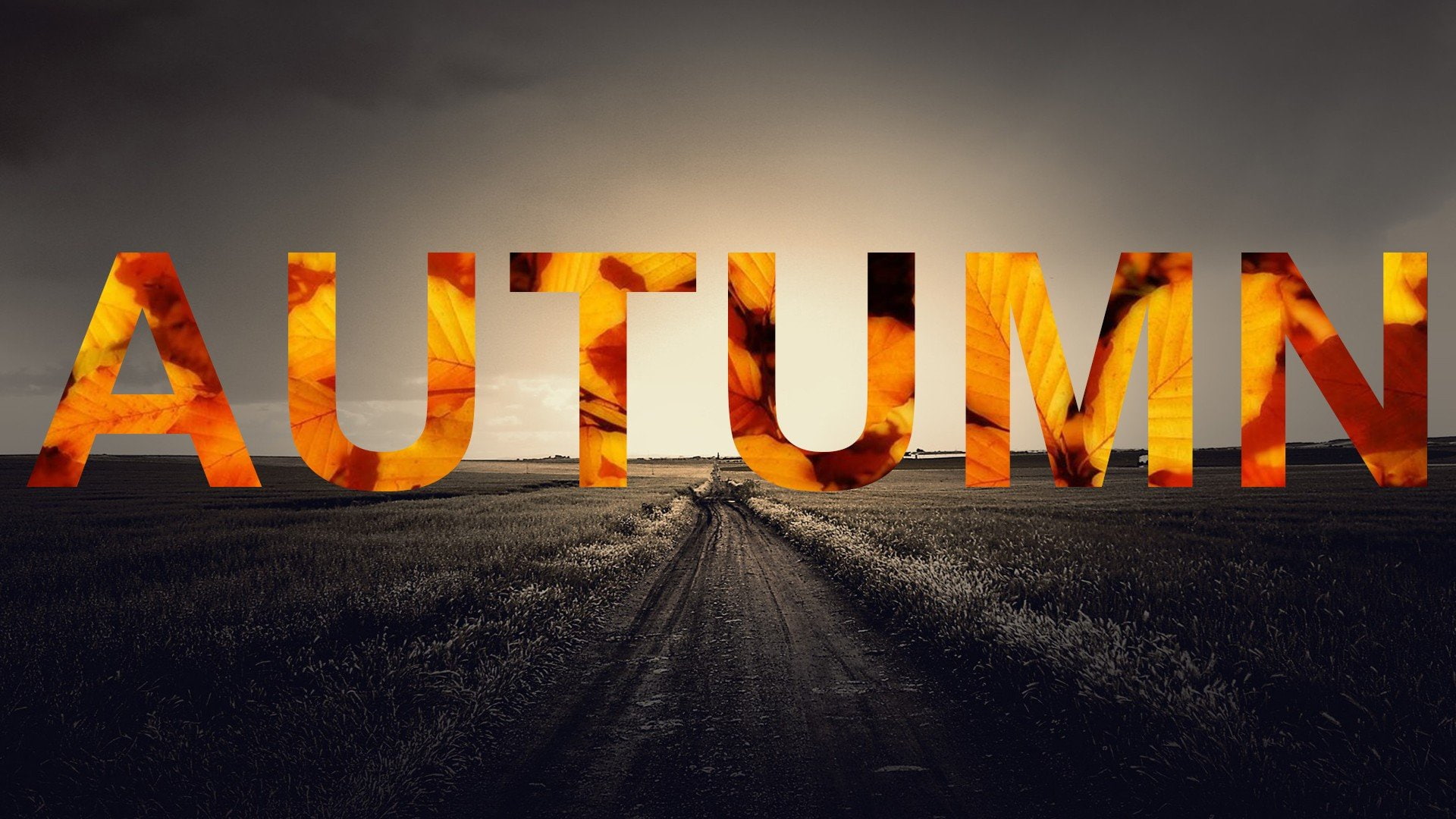 abstracto, Texto, 1080P, autumn, HD Wallpaper