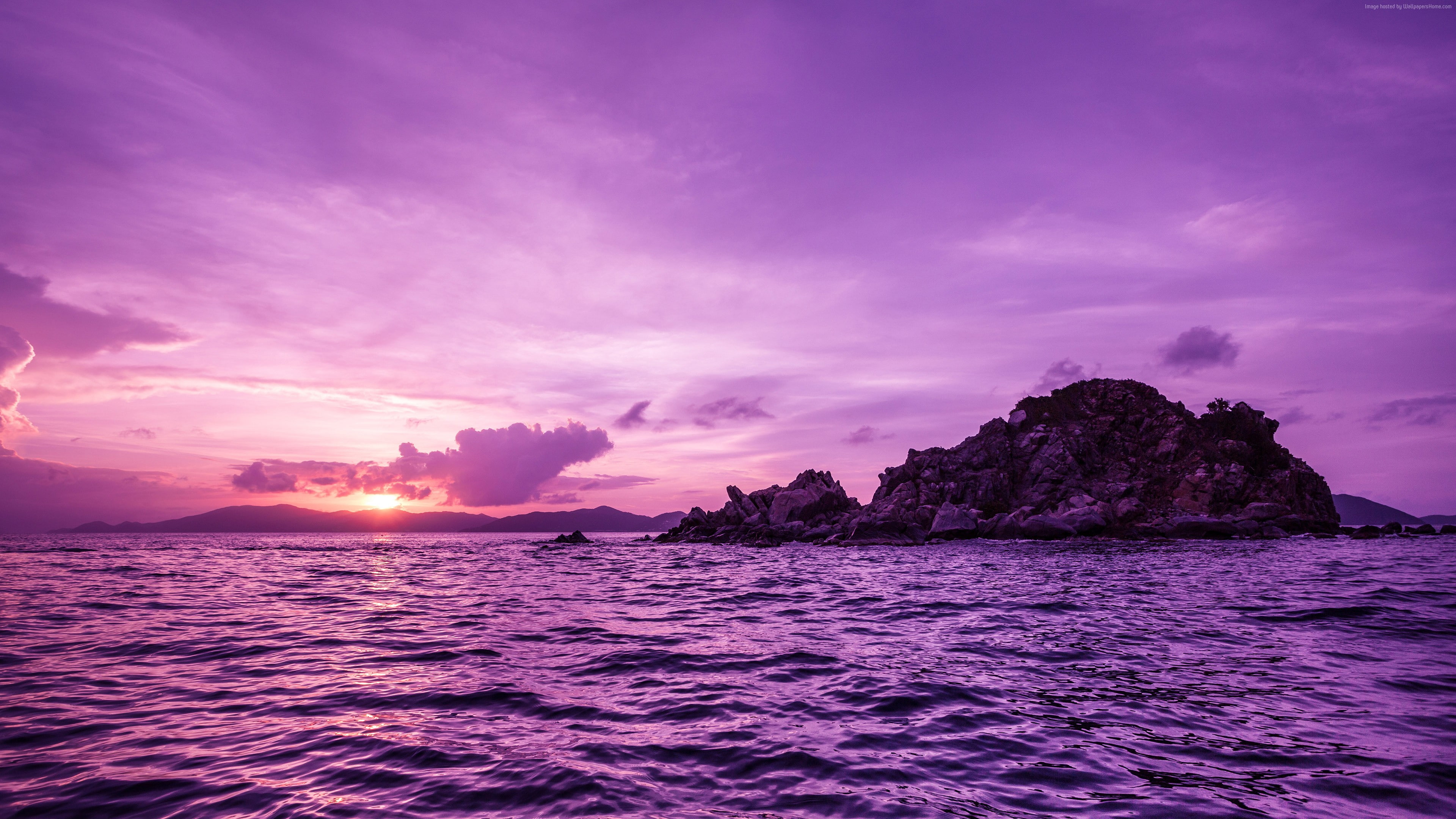 4K, purple, Pelican island, sunset, HD Wallpaper