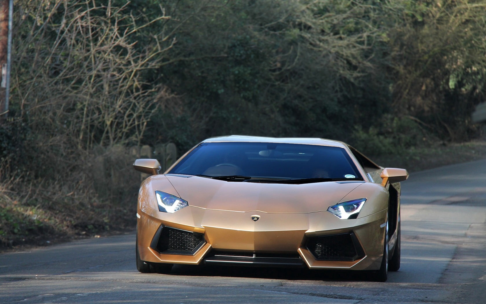 technology, lamborghini, retro styled, fuel and Power Generation, shiny, power, transportation, the way forward, engine, reflection, wheel, street, nature, HD Wallpaper