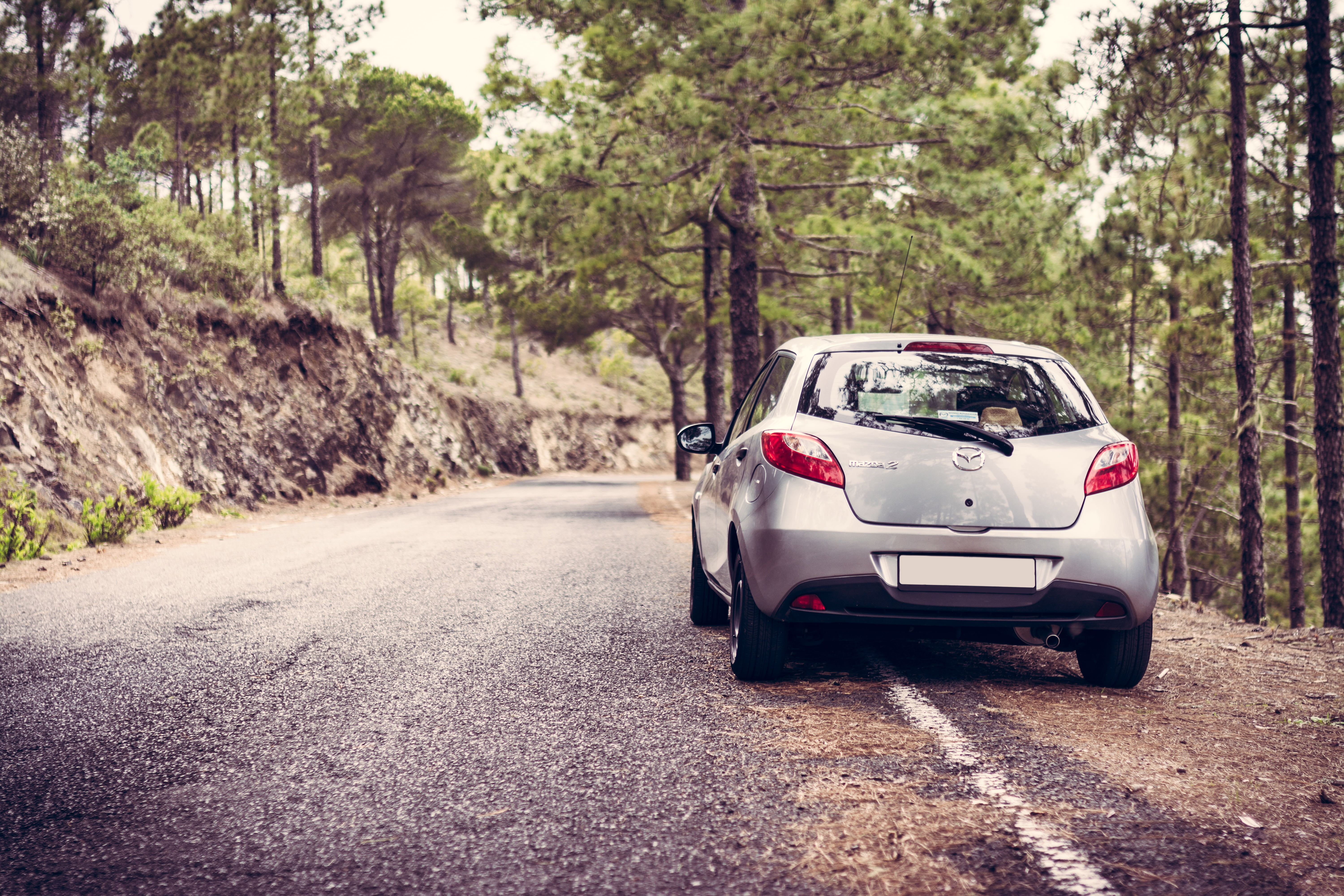 driving, mode of transportation, rear view, stationary, transportation, car, urban Scene, motor Vehicle, modern, sunlight, forest, outdoors, environment, HD Wallpaper