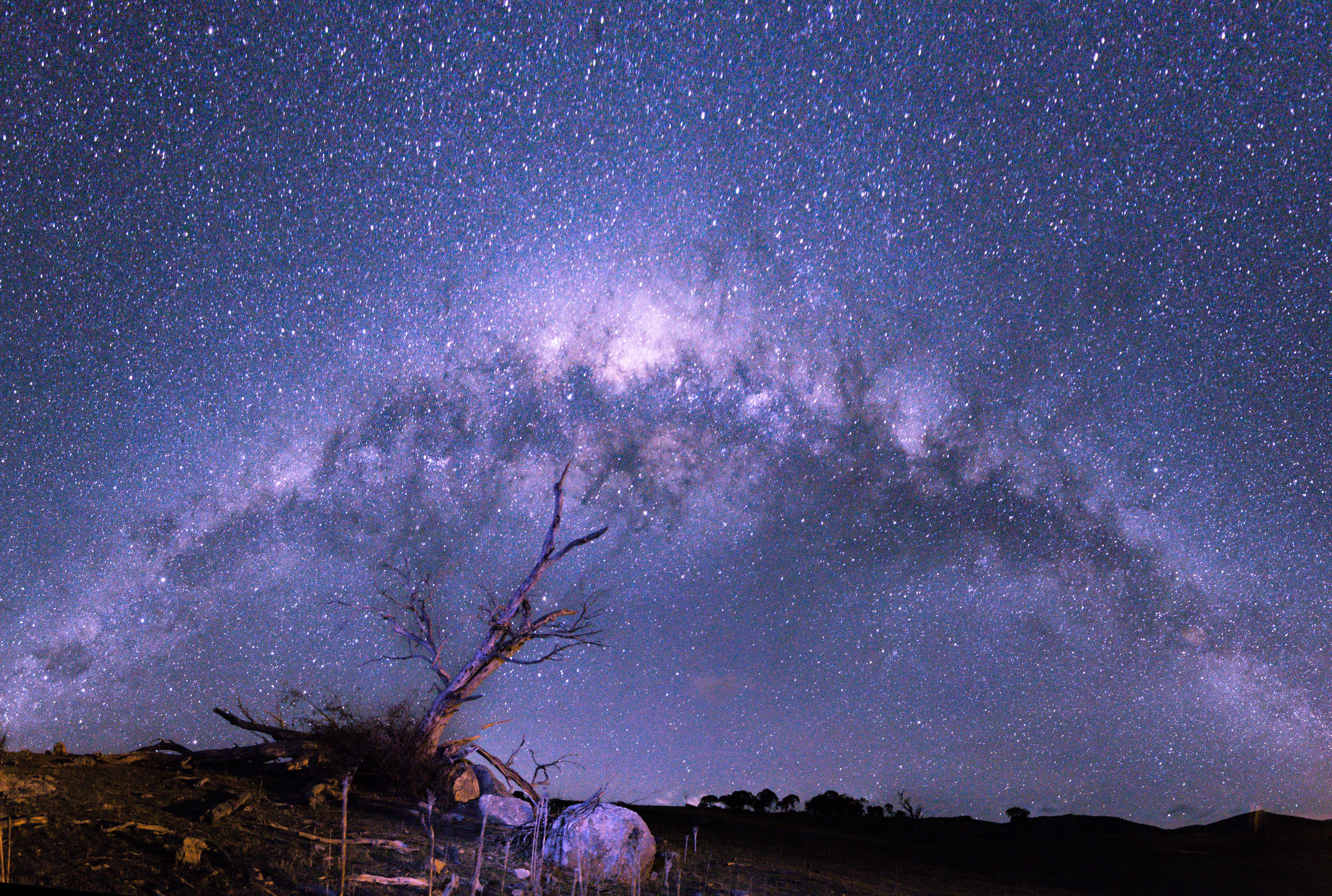 star - Space, environment, scenics - nature, backgrounds, light - Natural Phenomenon, tranquil scene, awe, plant, blue, purple, milky Way, space and astronomy, HD Wallpaper