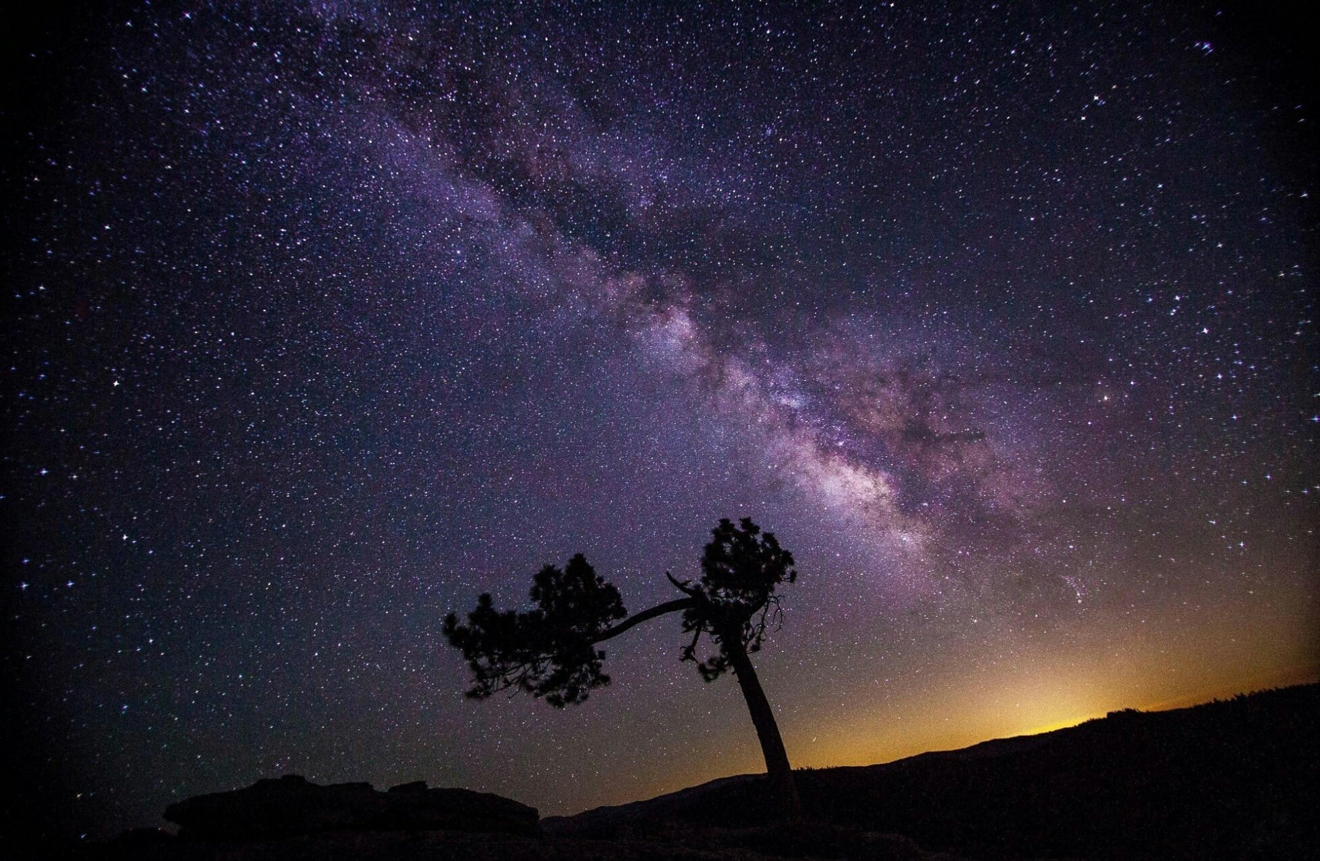 night, galaxy, tranquil scene, tree, plant, purple, beauty in nature, Sun and Sky, milkyway, sky, star field, space and astronomy, idyllic, silhouette, HD Wallpaper