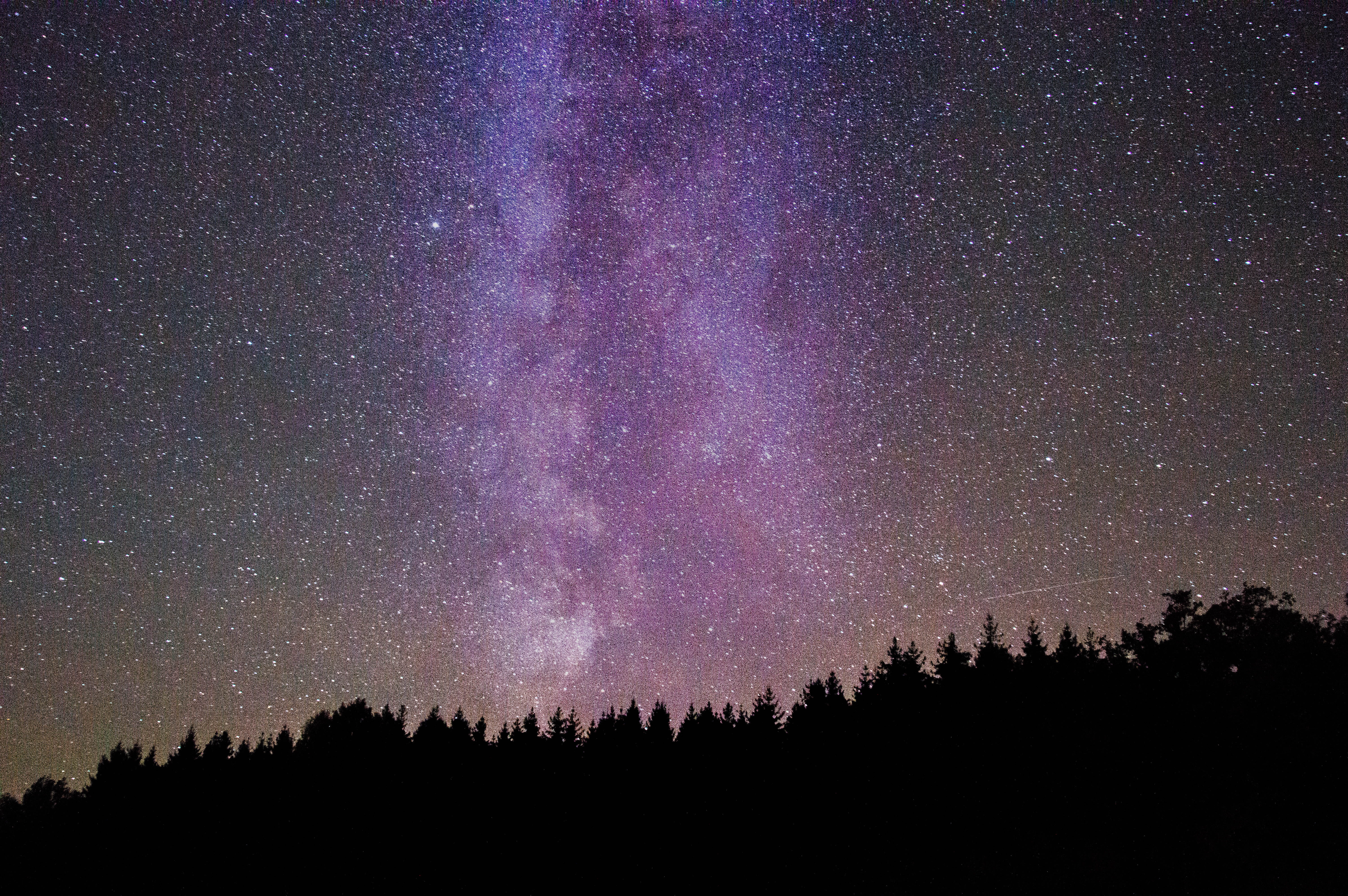 star - space, nature, astronomy, milkyway, low angle view, growth, night, silhouette, plant, nightsky, scenics - nature, no people, tranquil scene, tree, HD Wallpaper