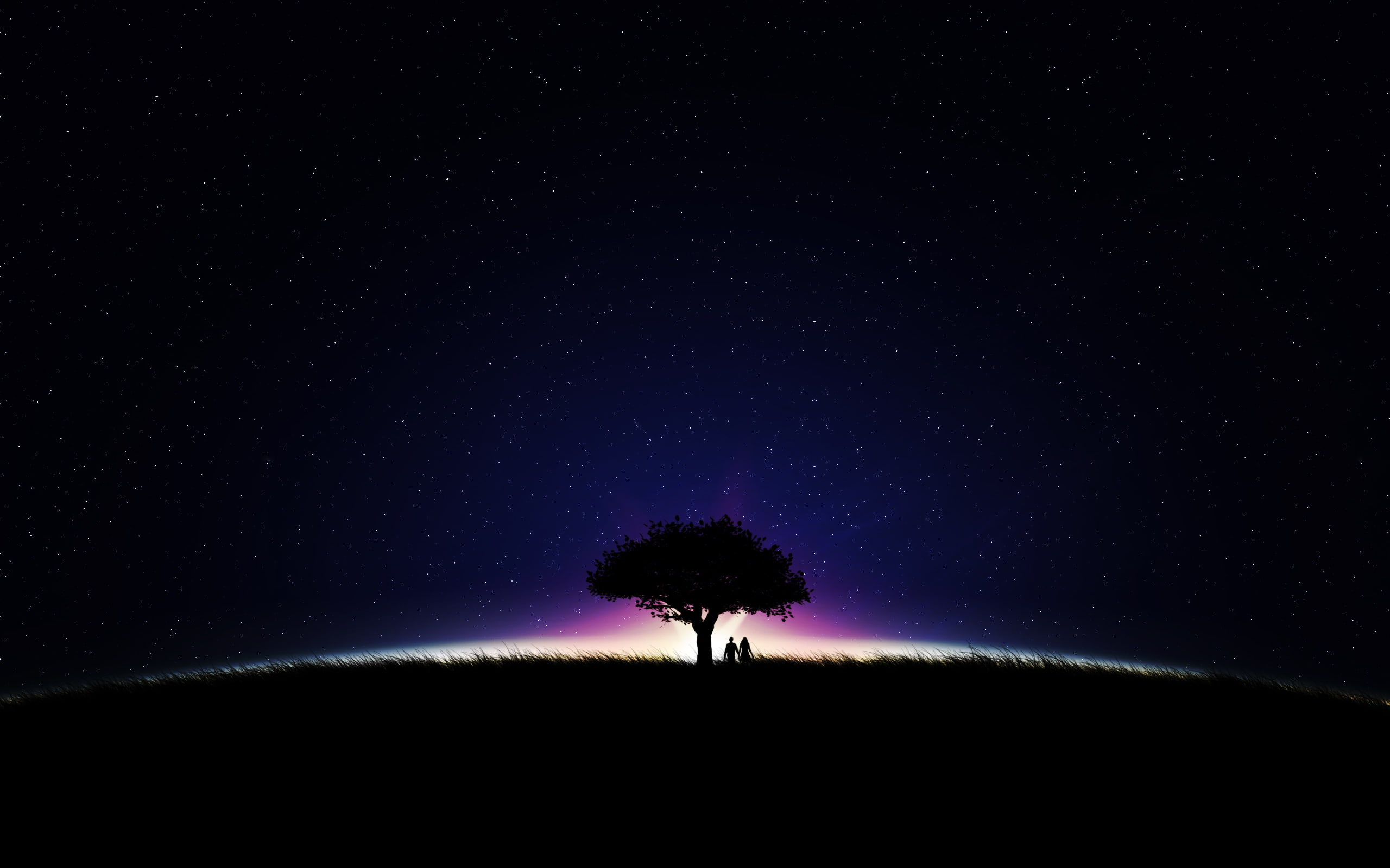 Couple, Stars, Night, Silhouette, 2K, Romantic, HD Wallpaper