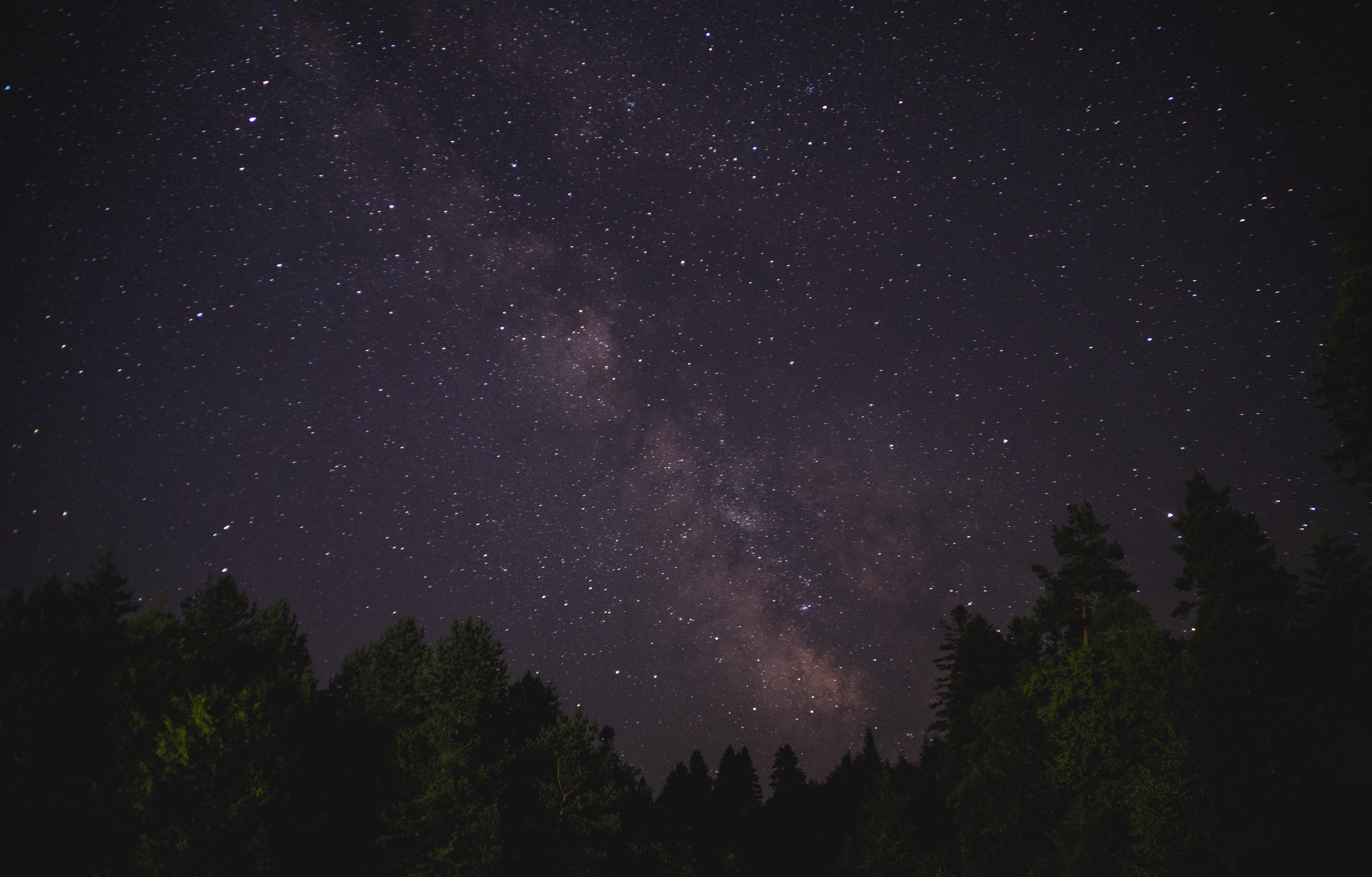 growth, no people, constellation, star field, astronomy, space, beauty in nature, milkyway, night sky, tree, milky way, tranquility, galaxy, sky, scenics - nature, HD Wallpaper