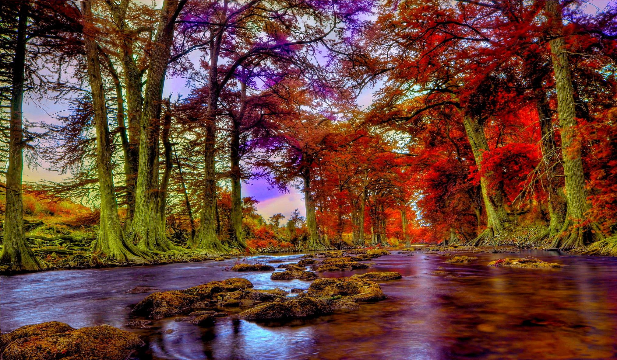 green, autumn, 1080P, hills, river, guadalupe, texas, guadalupe-river, trees, HD Wallpaper