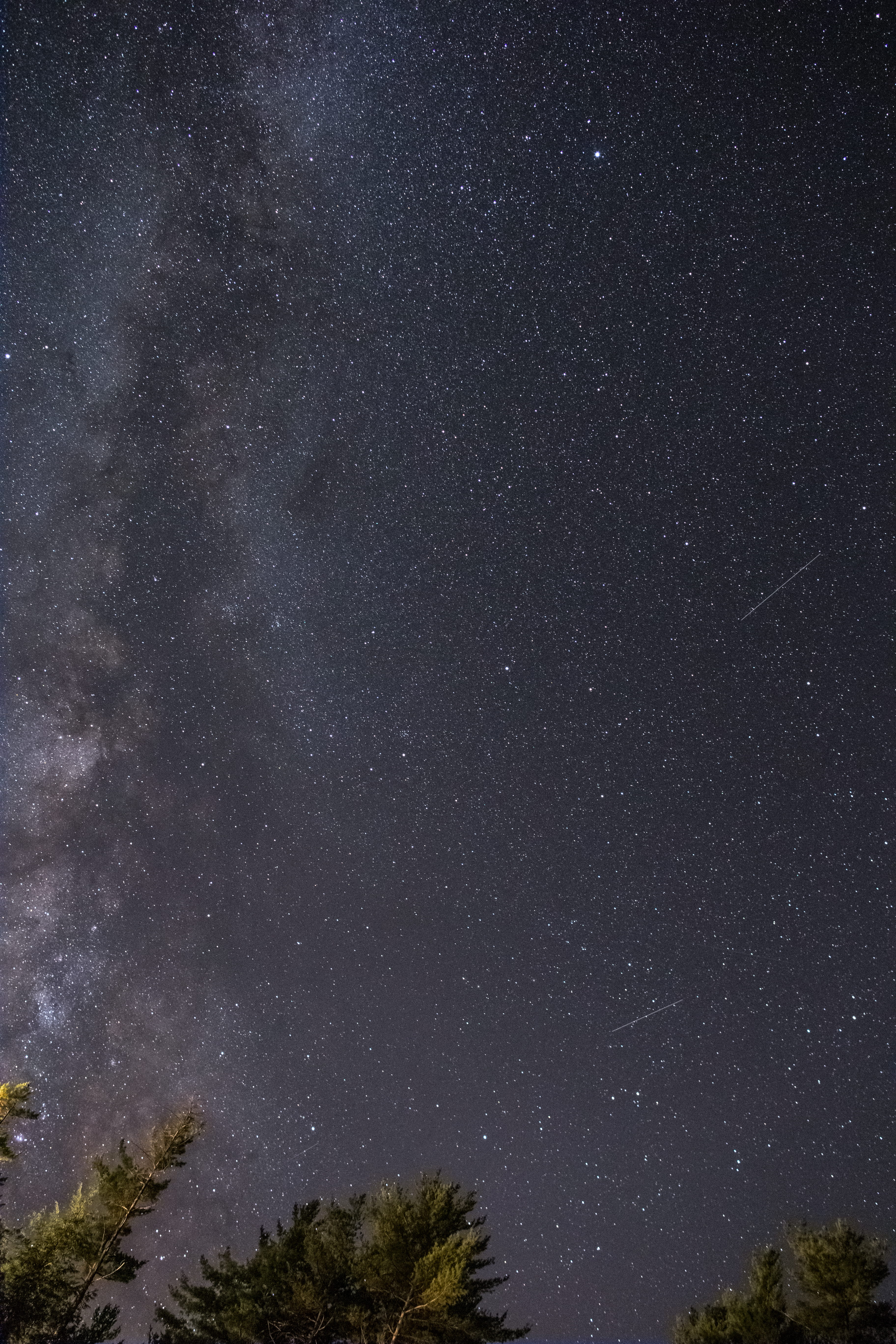 astronomy, star, nebula, no People, noche estrellada, forest, astrology, stars, 5K, astrophotography, star Field, cluster, illuminated, night, galaxy, Phone HD Wallpaper