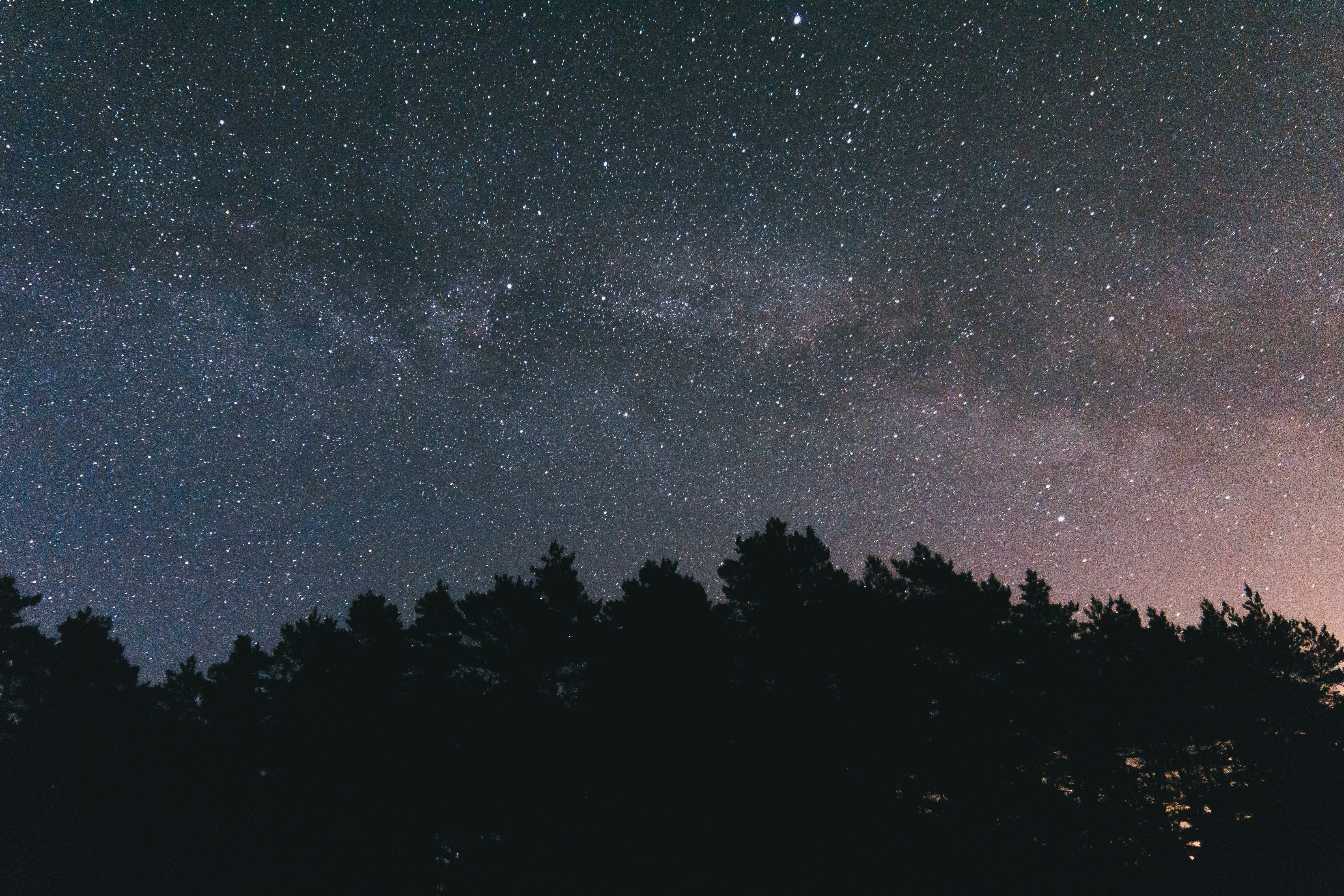trees, beauty in nature, milky Way, star Trail, star, star - Space, exploration, astronomy, space Exploration, sky, tranquility, backgrounds, scenics, dark, HD Wallpaper