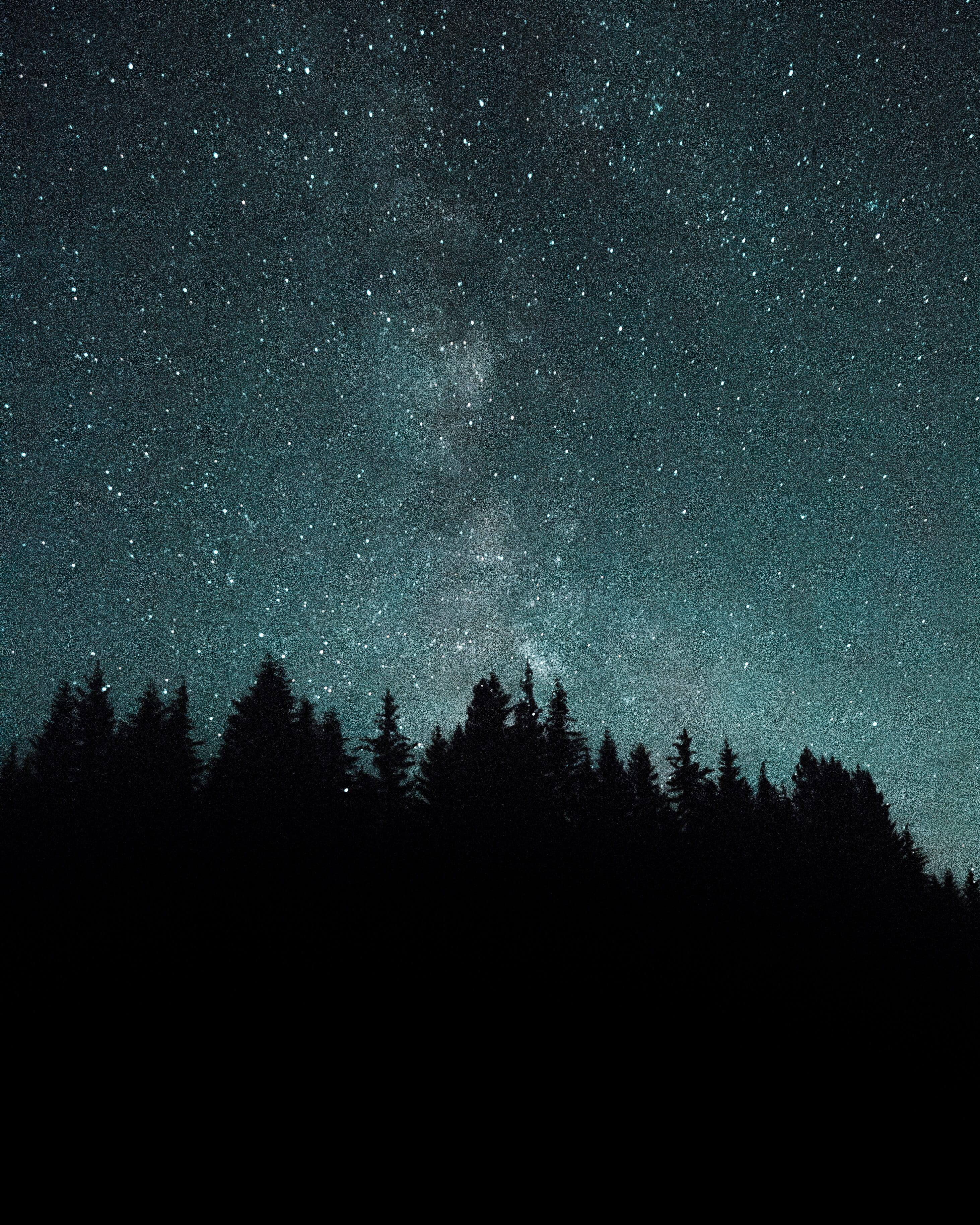 nebula, moon, landscape, supernova, infinity, planet - Space, science, long exposure, nighttime, space Exploration, tree, astrology, solar System, blue, Phone HD Wallpaper