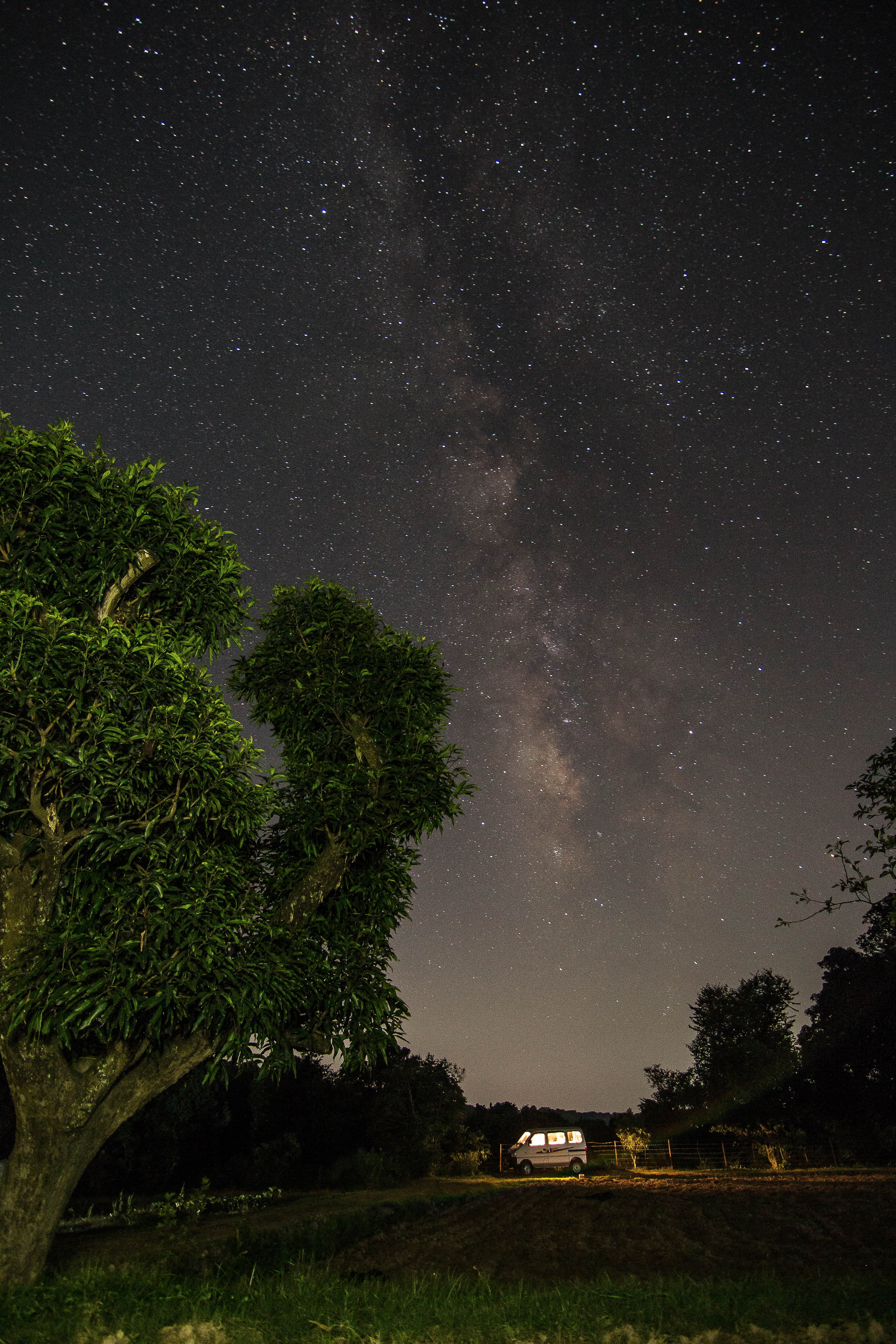 plant, dark, night, planet - Space, trees, sky, nature, outdoors, stars, 5K, space and astronomy, tree, scenics, tranquil scene, land, nebula, green, houston Astros, Phone HD Wallpaper