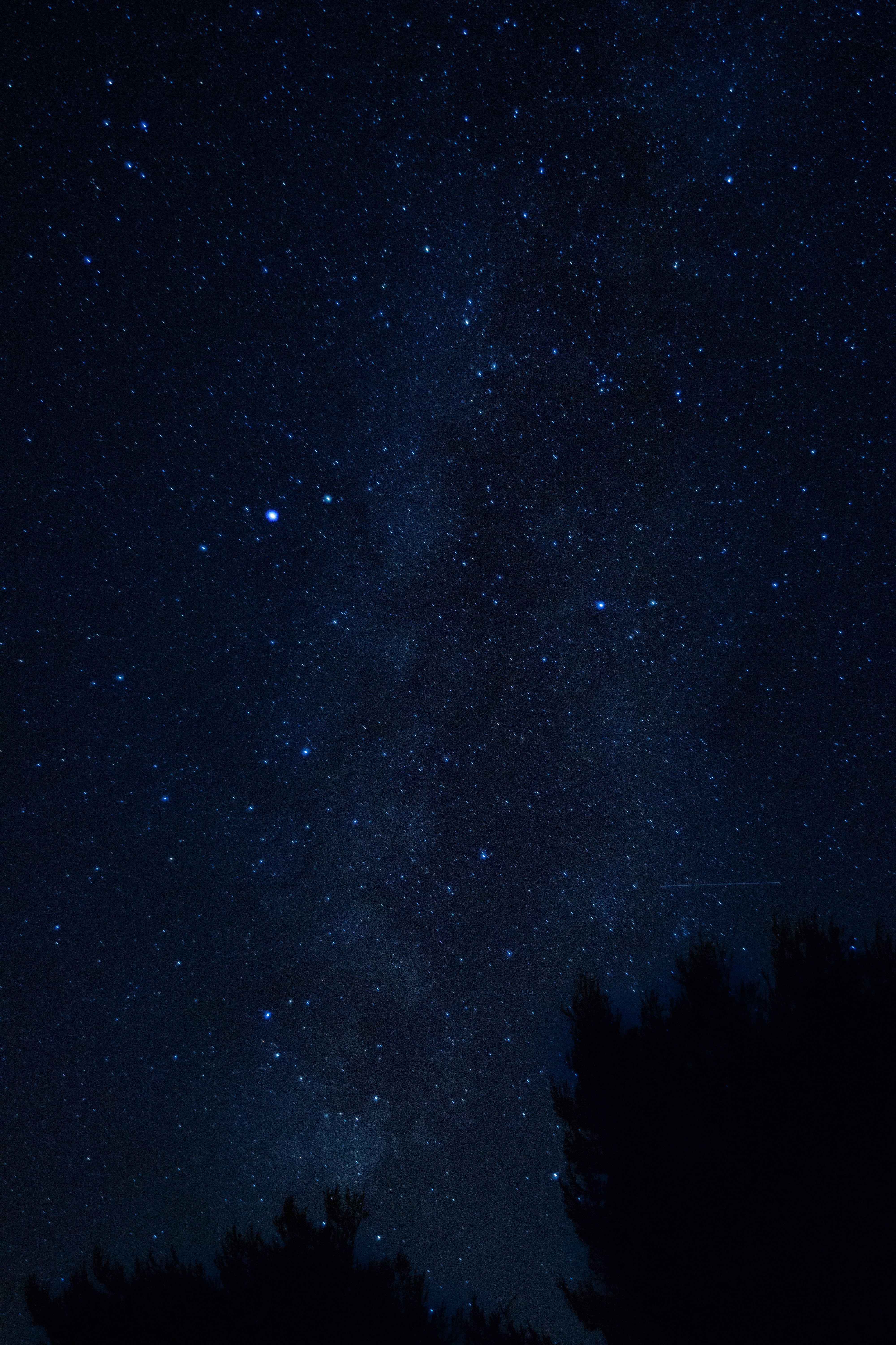 starry sky, backgrounds, space, landscape, sky, way, no people, star Trail, star Shape, meteor, science, milky, black Color, dark, croatia, forest, star - Space, Phone HD Wallpaper