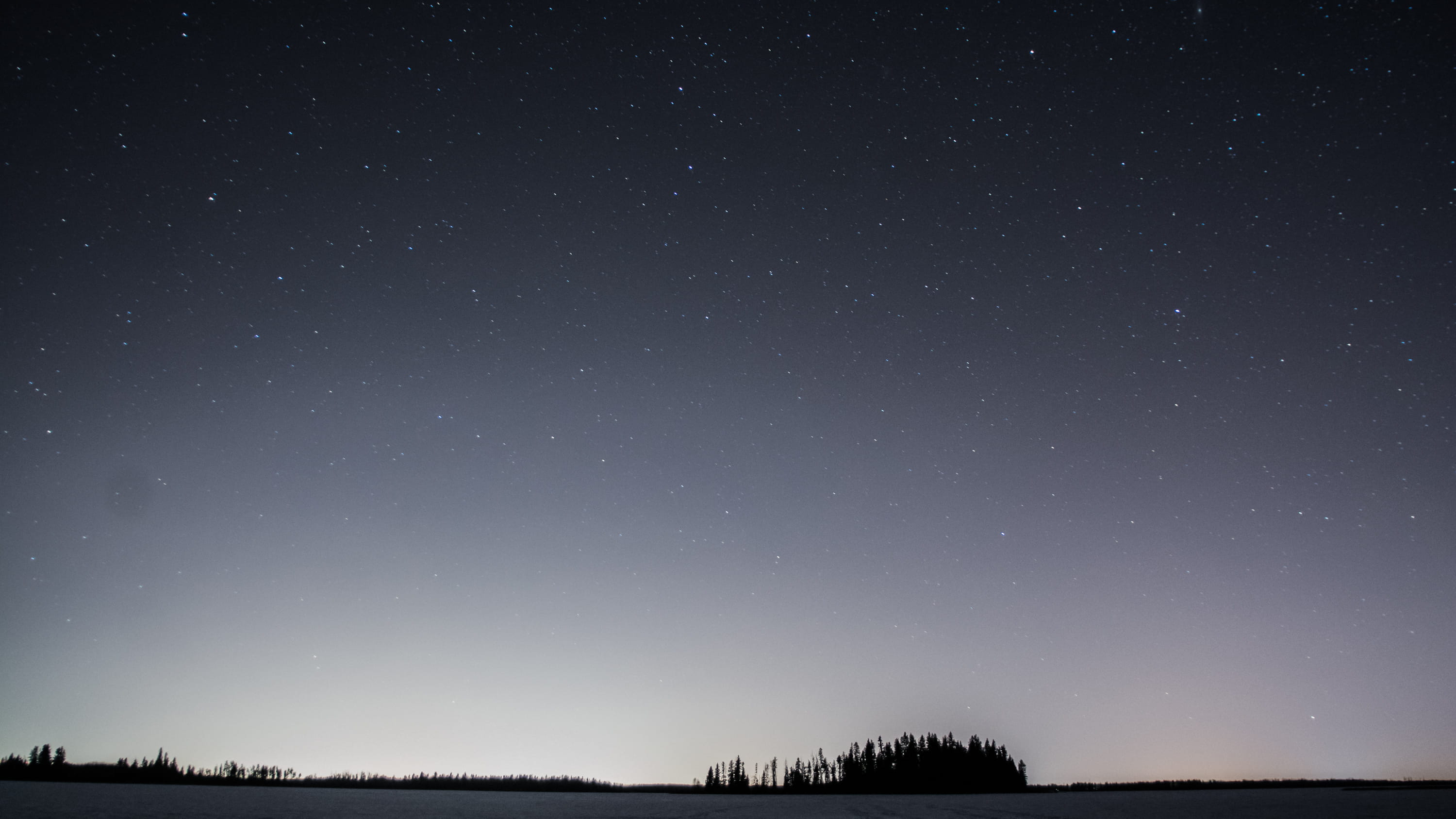 night, 2K, forest, outdoors, environment, land, tranquility, elk island national park, trees, space, canada, astro photography, scenics - nature, alberta, HD Wallpaper