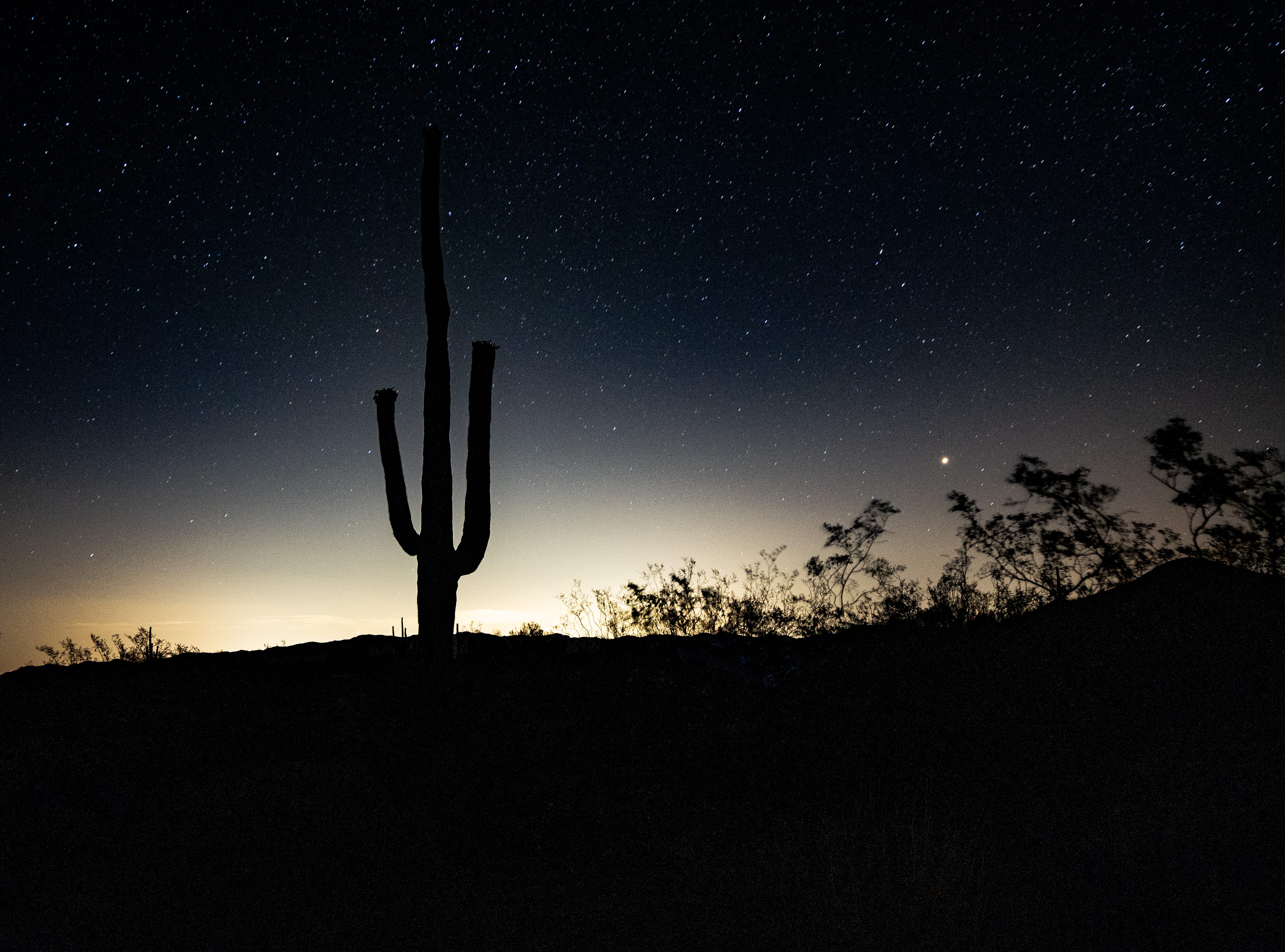 cactus, space, spirituality, desert, silhouette, cacti, astro, sun, nature, city light, 4K, arizona, dark, night, landscape, night photography, HD Wallpaper