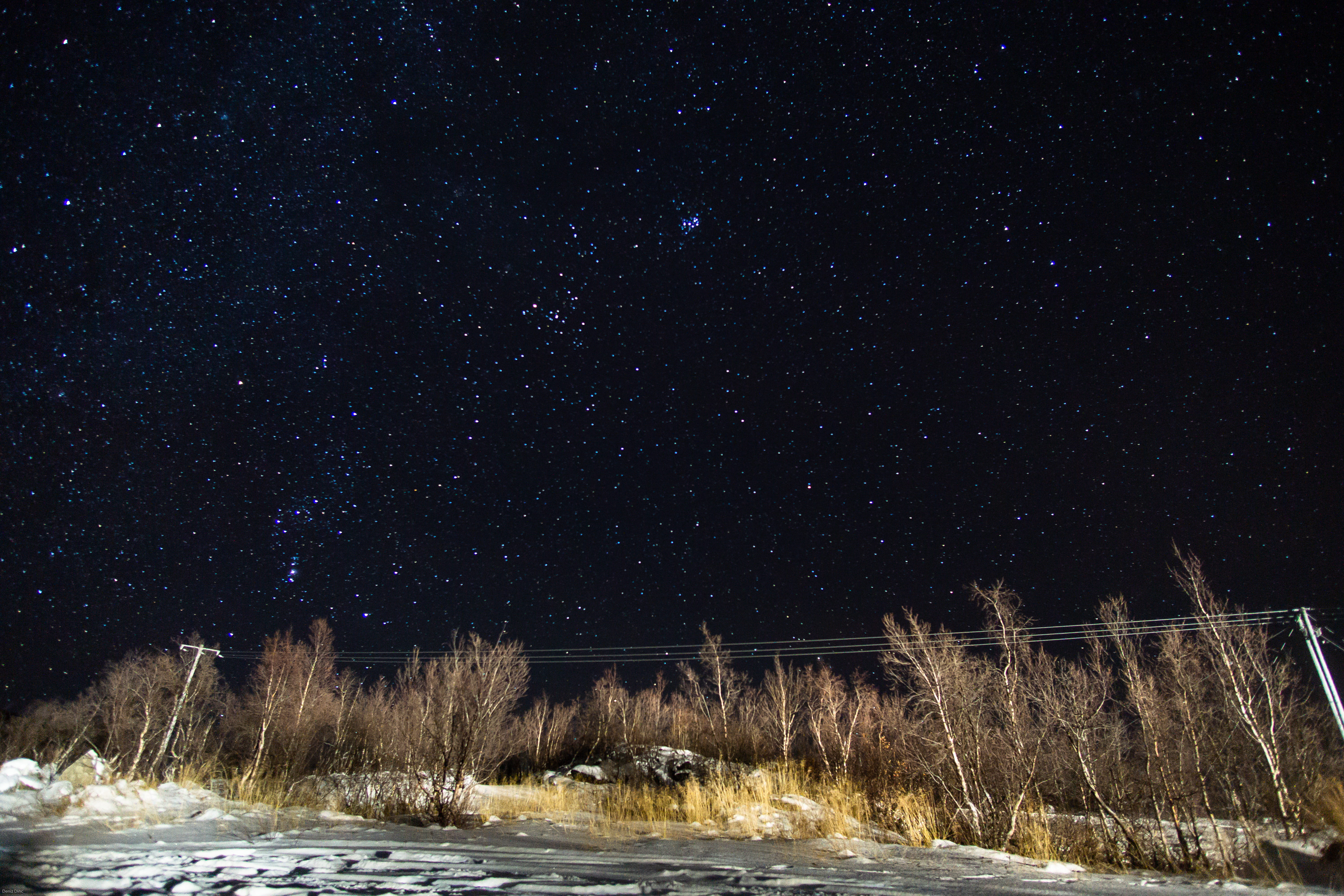 winter, night sky, star field, tranquility, scenics - nature, plant, sky, cold temperature, tranquil scene, landscape, space, 5K, astro photography, star - space, HD Wallpaper