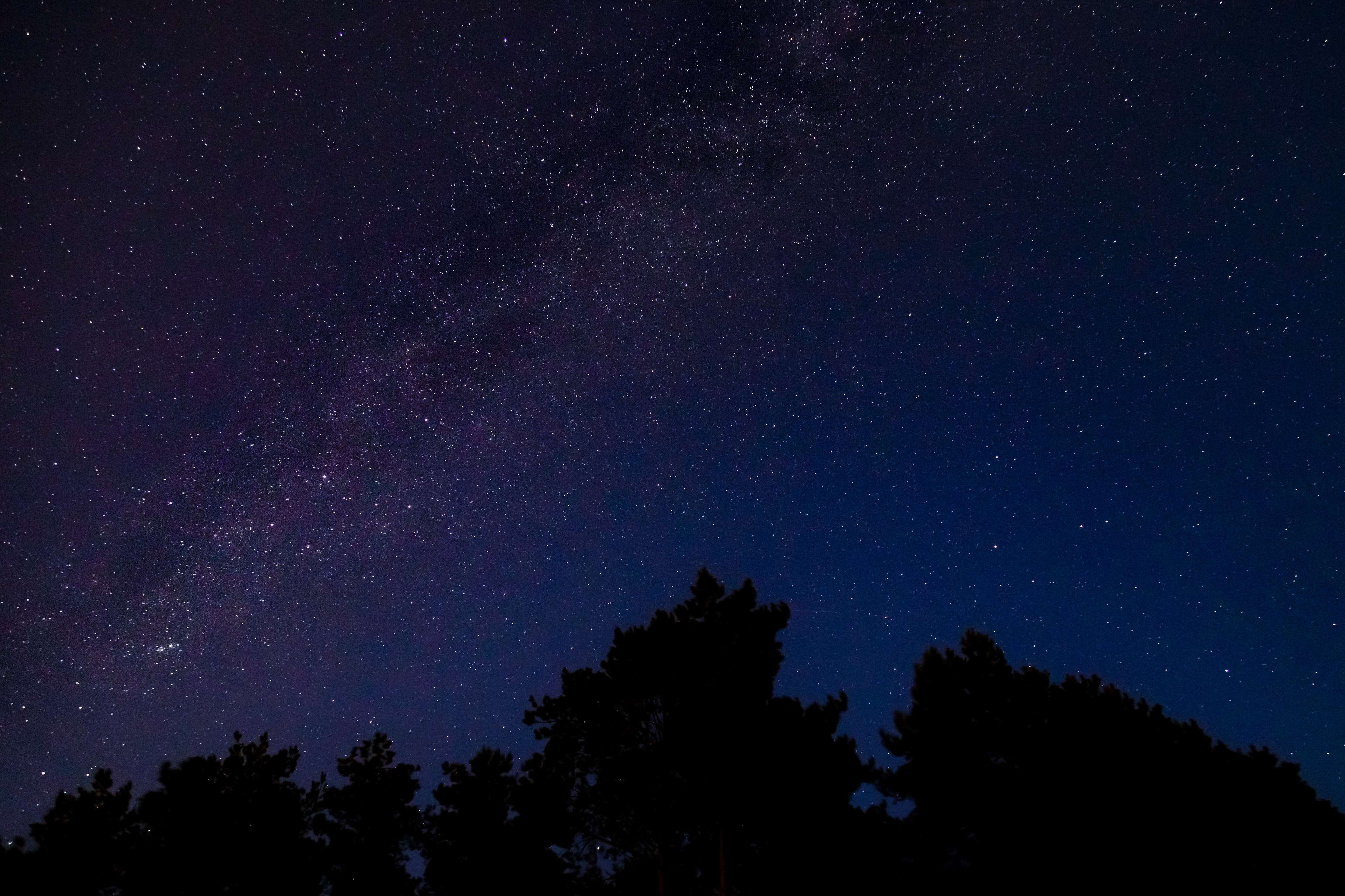 star, silhouette, astronomy, milkyway, scenics - nature, nature, beauty in nature, idyllic, low angle view, star - space, sky, space, tree, stars, no people, HD Wallpaper