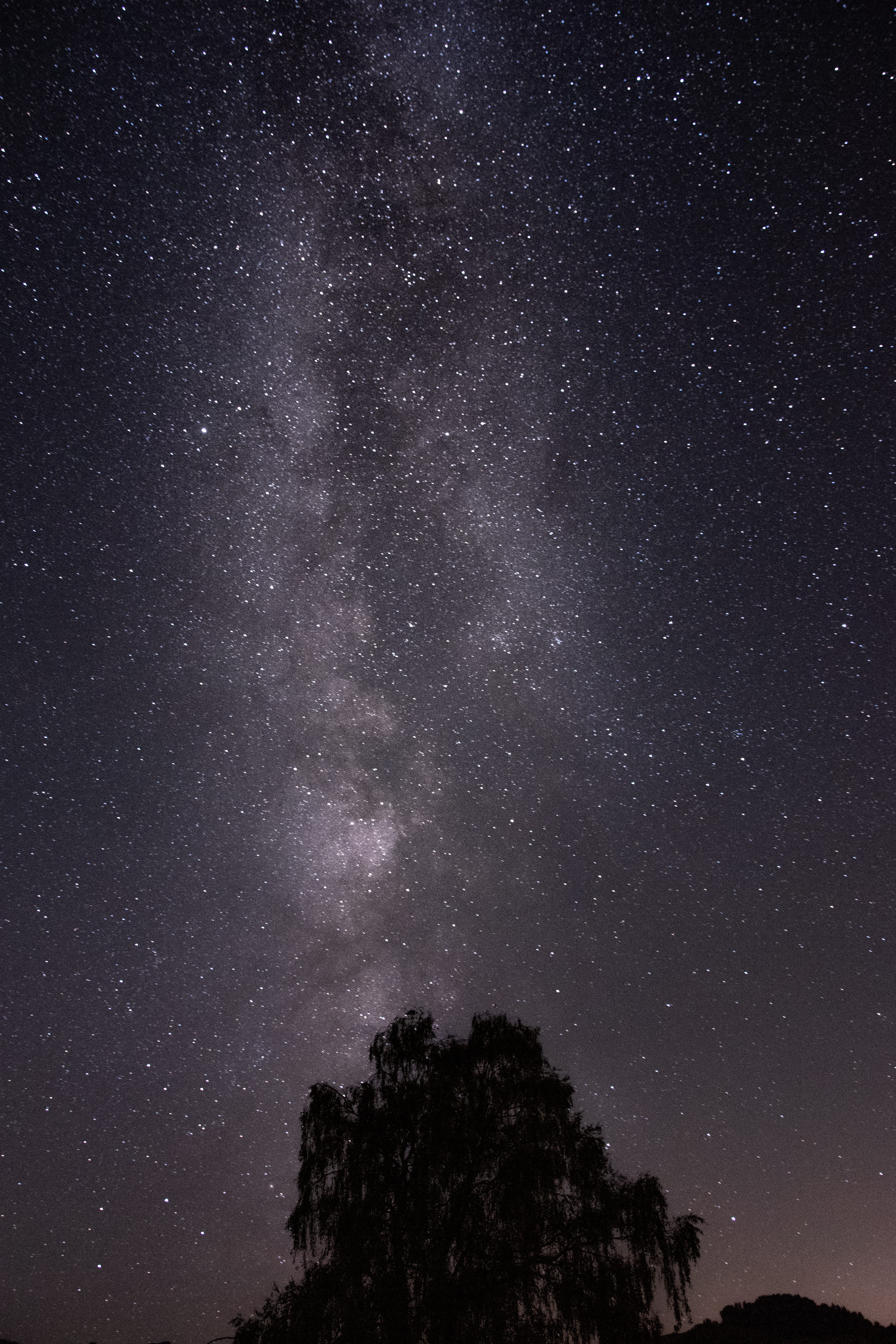 astronomy, space, rock, scenics - nature, tranquil scene, light, space and astronomy, star field, universe, flare, angle, low, nature, night, plant, sky, Phone HD Wallpaper