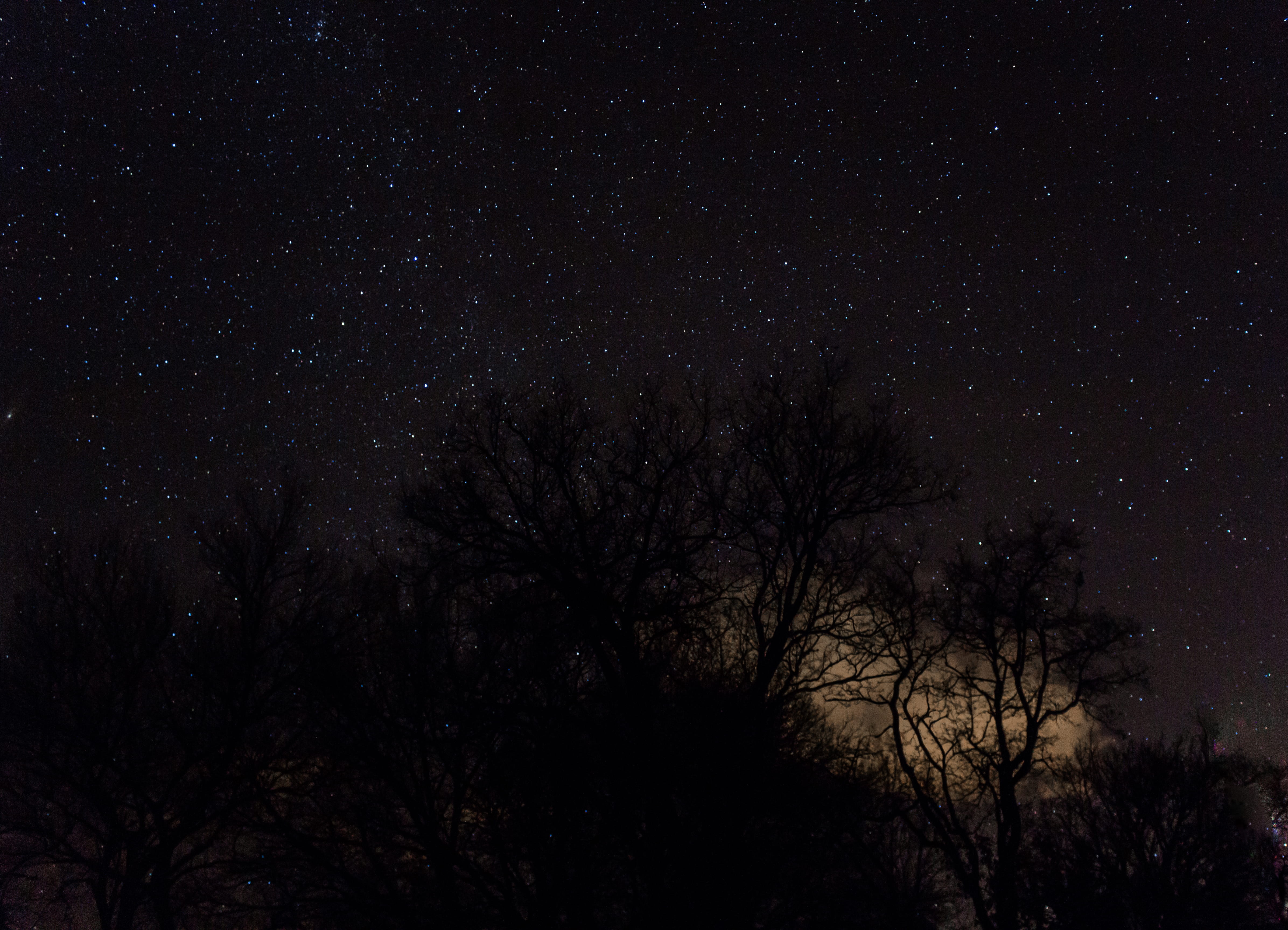 sky, no people, cloud, space and astronomy, beauty in nature, 4K, wildlife, night, canon, silhouette, wild, star, astronomy, tree, low angle view, world, HD Wallpaper