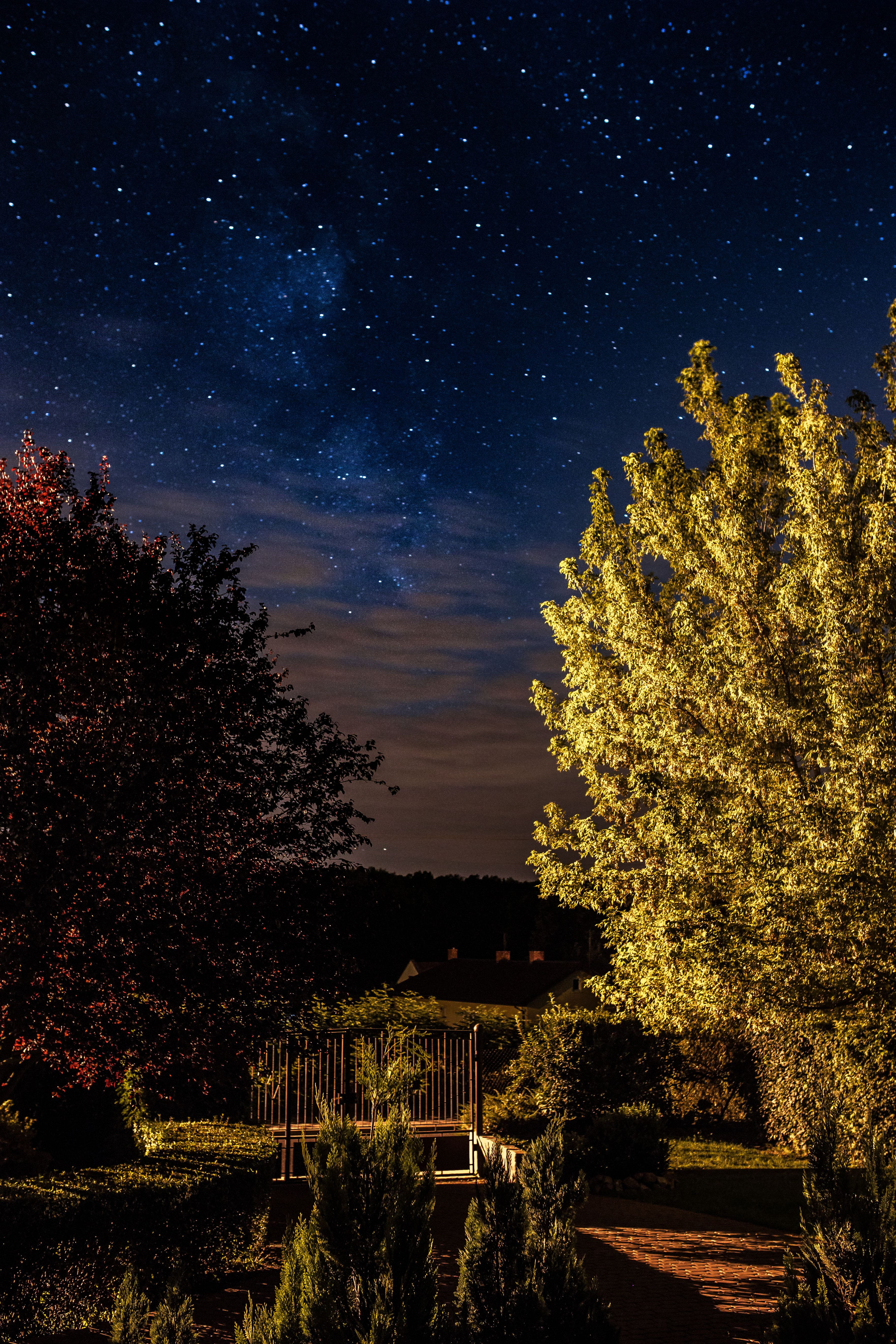 astronomy, star field, nighttime, no people, galaxy, plant, star - space, scenics - nature, beauty in nature, 5K, sky, architecture, built structure, star, Phone HD Wallpaper
