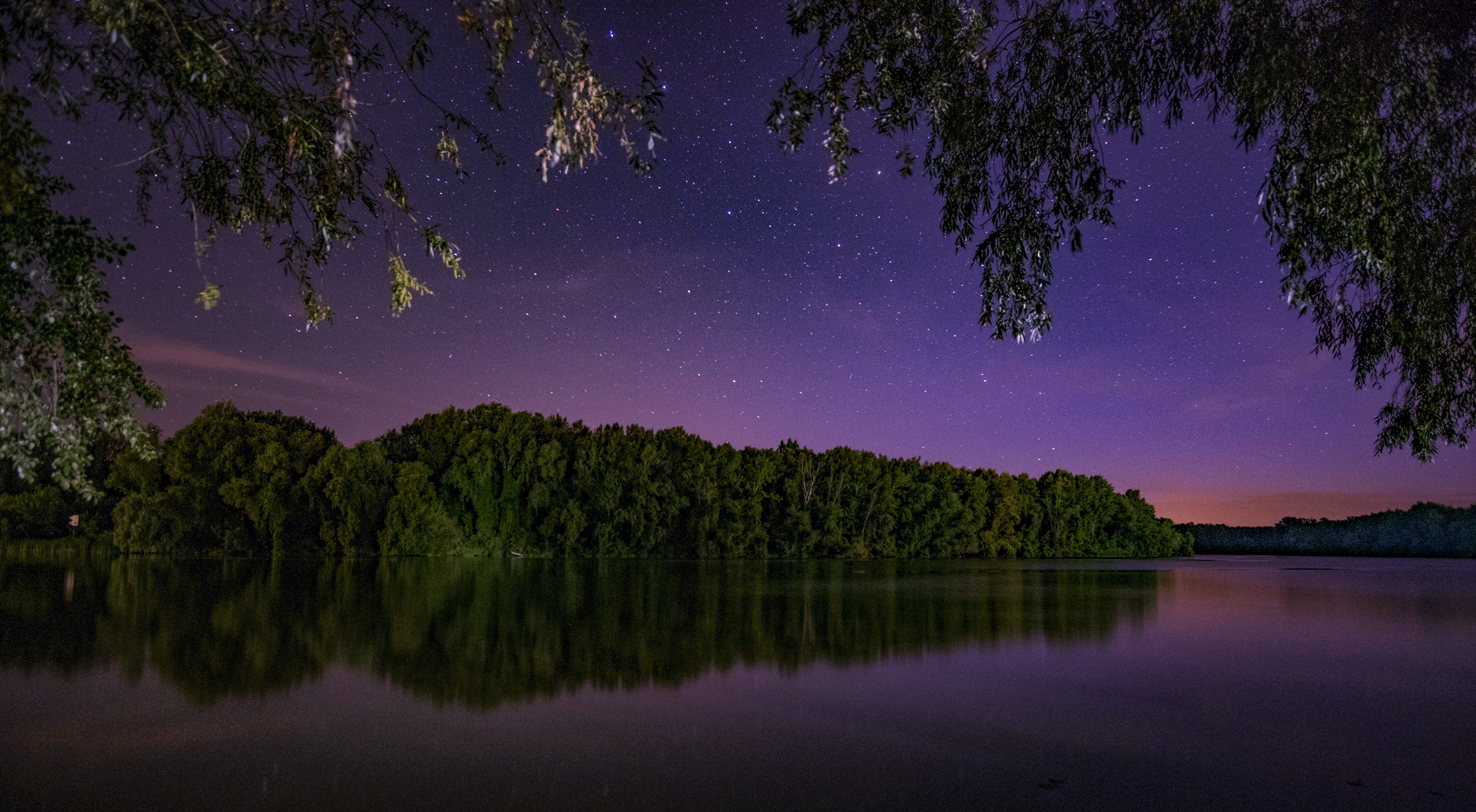 lake, night sky, sky, plant, 4K, space, scenics - nature, astronomy, forest, star - space, beauty in nature, water, astro, longexpo, purple, growth, night, HD Wallpaper