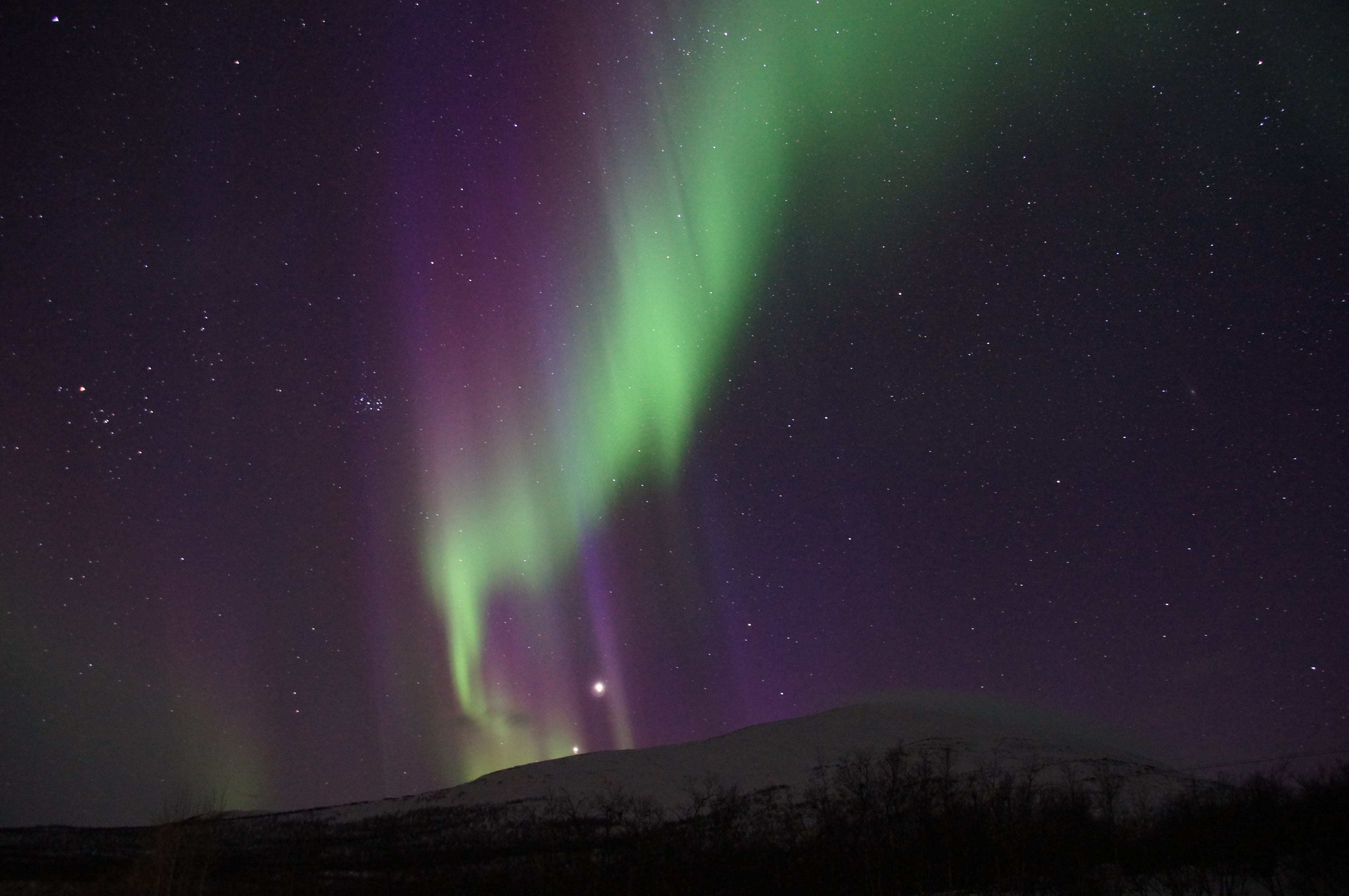 kiruna, arctic circle, geomagnetischer storm, low angle view, idyllic, scenics, nature, night, lapland, star field, sky, purple, abisko, green color, aurora polaris, HD Wallpaper