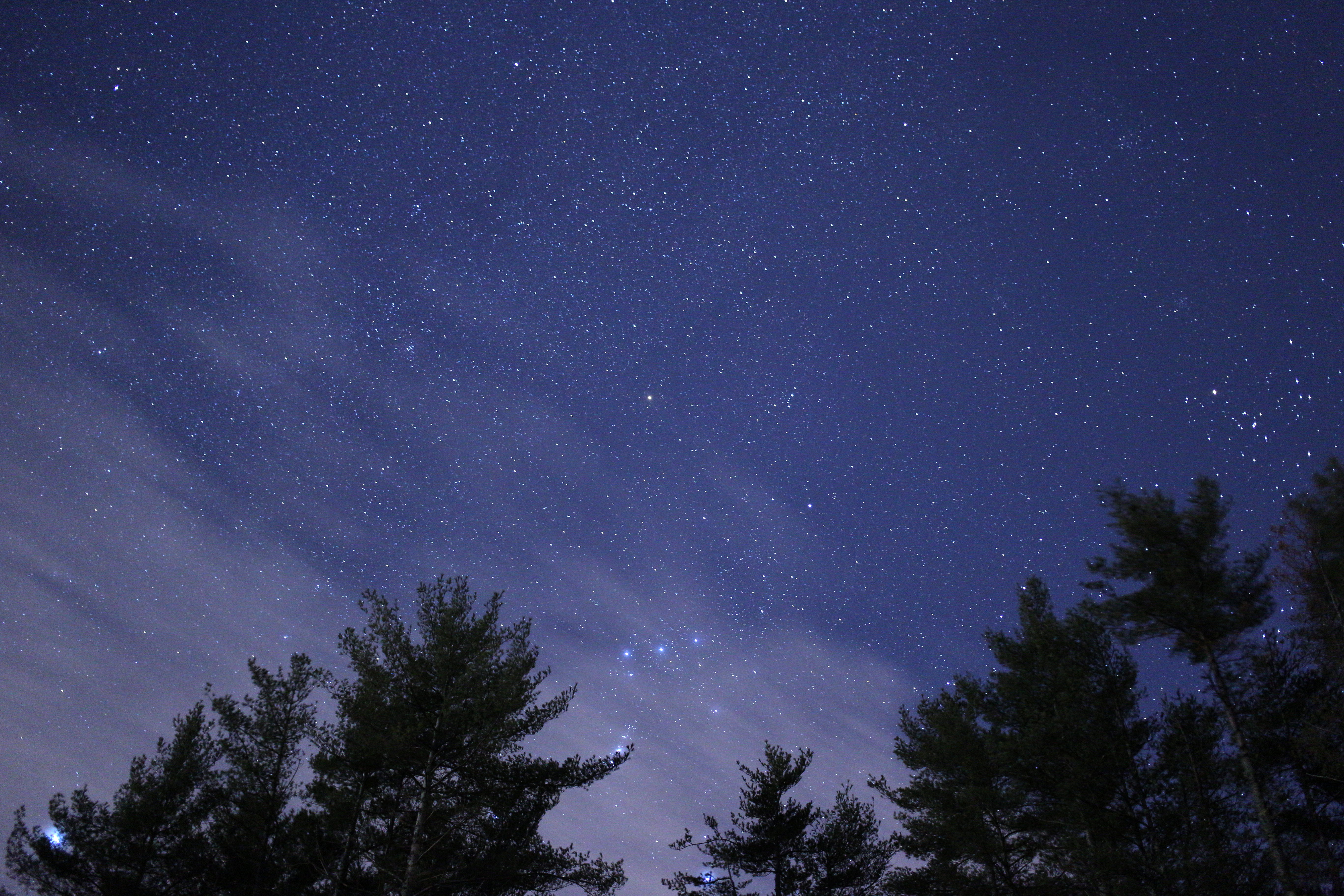 galaxy, low angle view, speckled sky, infinity, beauty in nature, landscape, nebula, astronomy, outdoors, star, scenics - nature, silhouette, tree canopy, HD Wallpaper