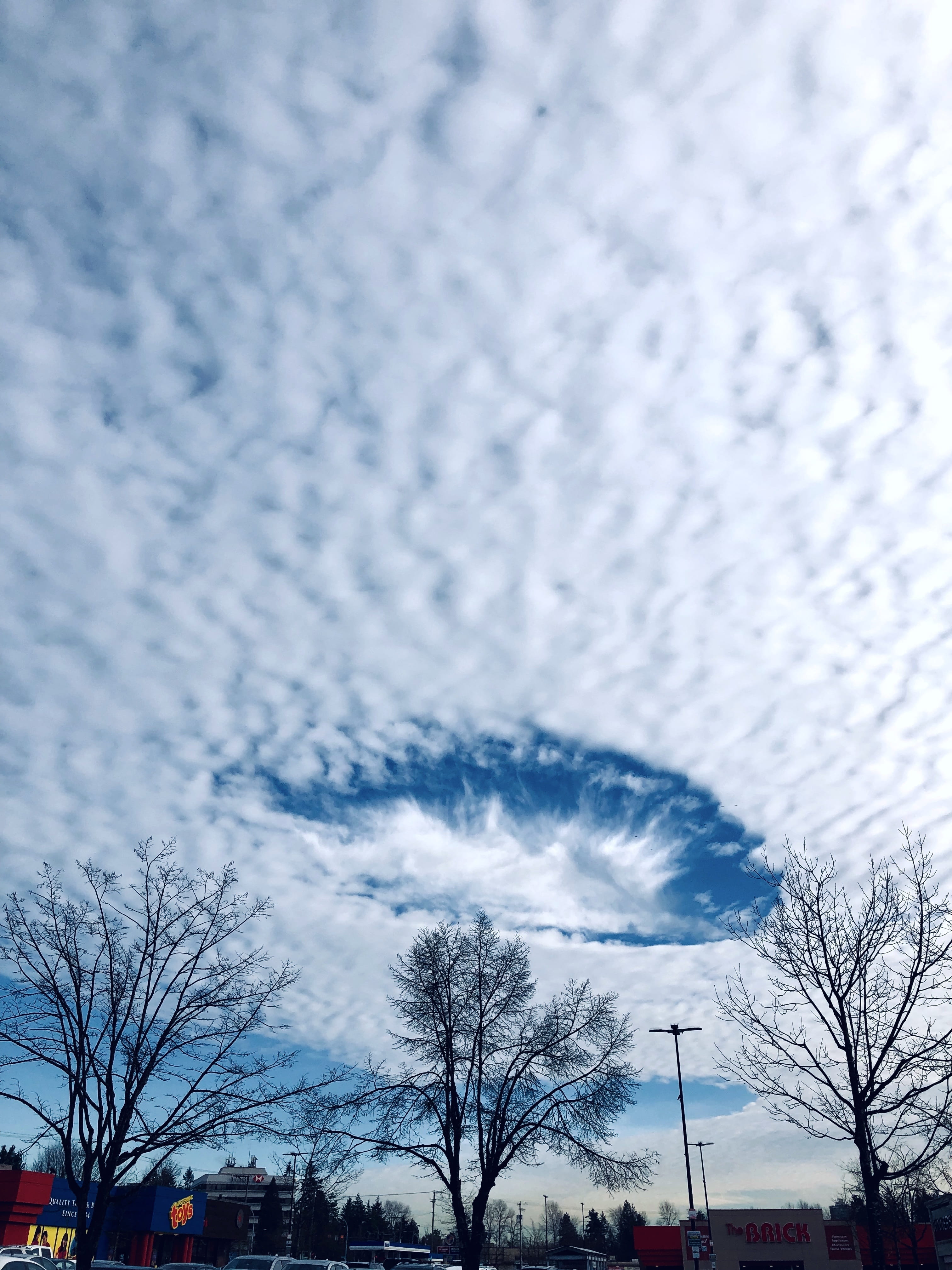 canada, snow, nature, day, imagination, bare tree, low angle view, outdoor, british columbia, cloud - sky, built structure, white, no people, clouds, beauty in nature, Phone HD Wallpaper