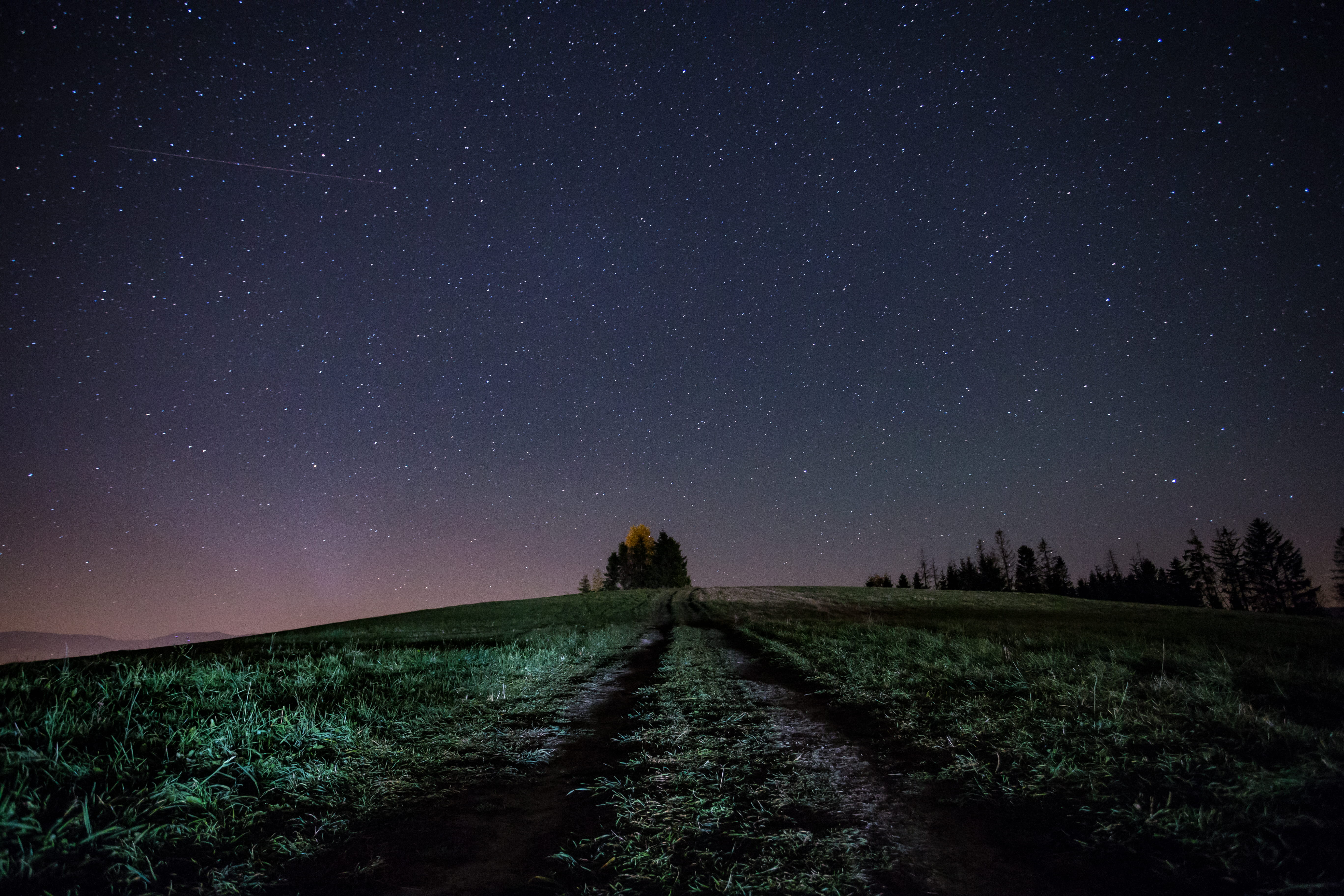stars, space and astronomy, 5K, plant, space, sky, star field, rural, environment, astronomy, direction, galaxy, star, scenics - nature, countryside, beauty in nature, HD Wallpaper